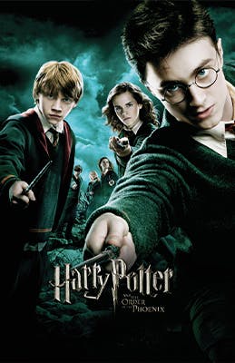 Harry Potter Franchise