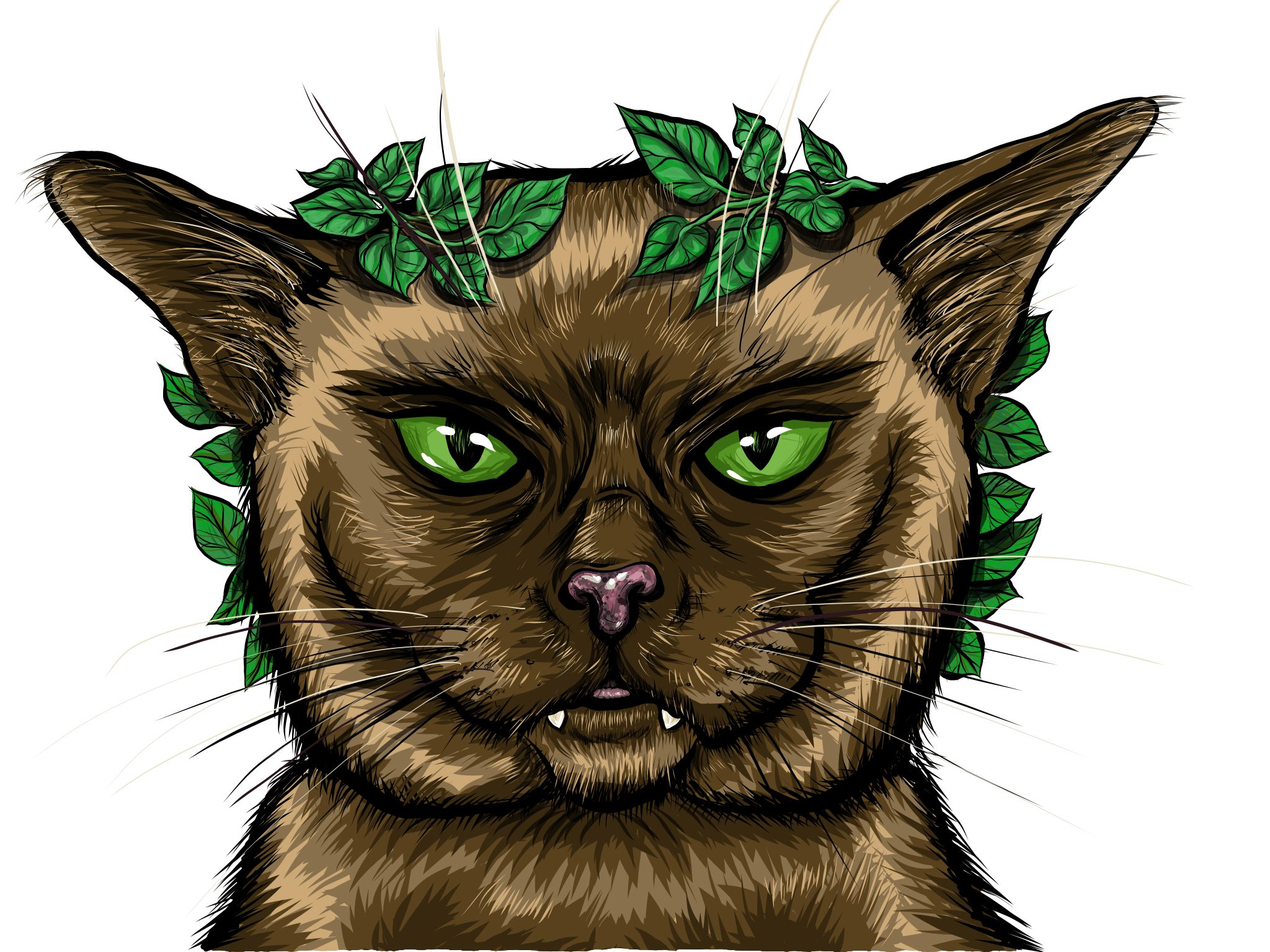 user avatar image for The Emperor's Cat