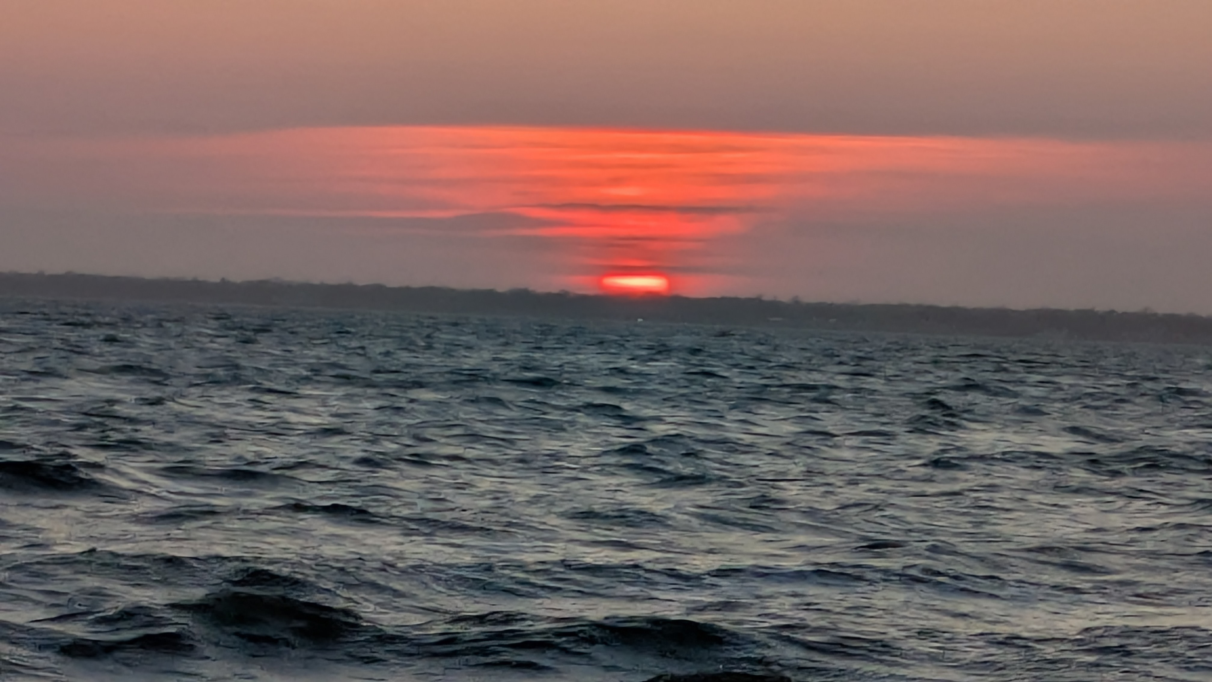 user avatar image for Doc Coyote