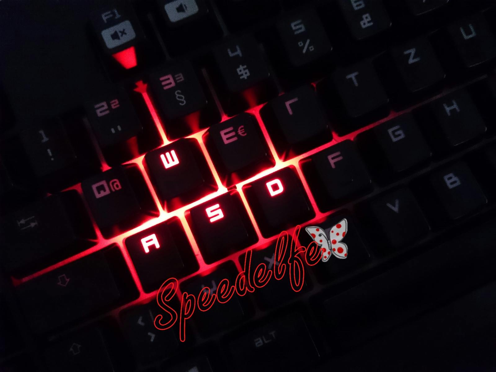 user avatar image for Speedelfe