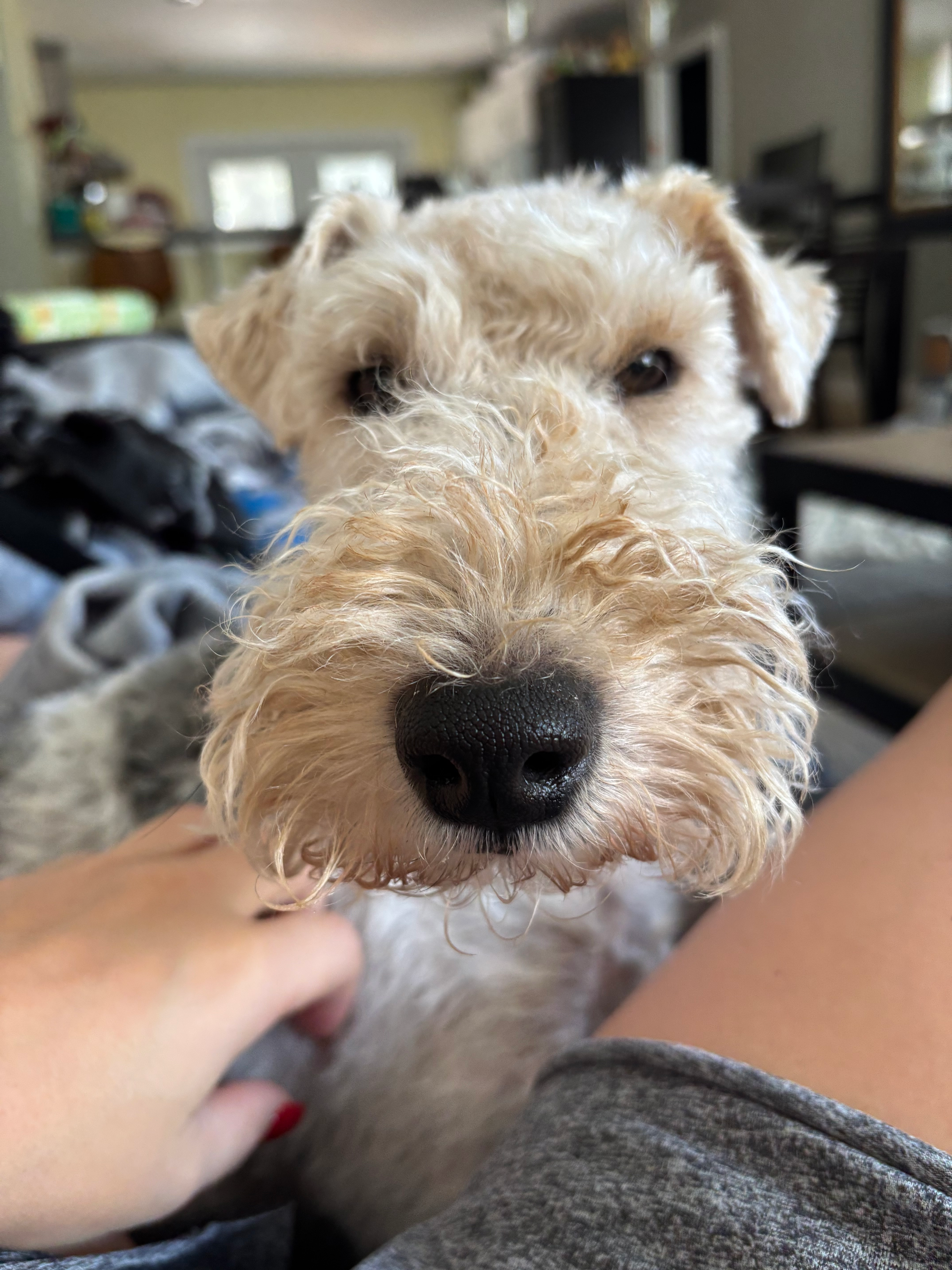 user avatar image for KW