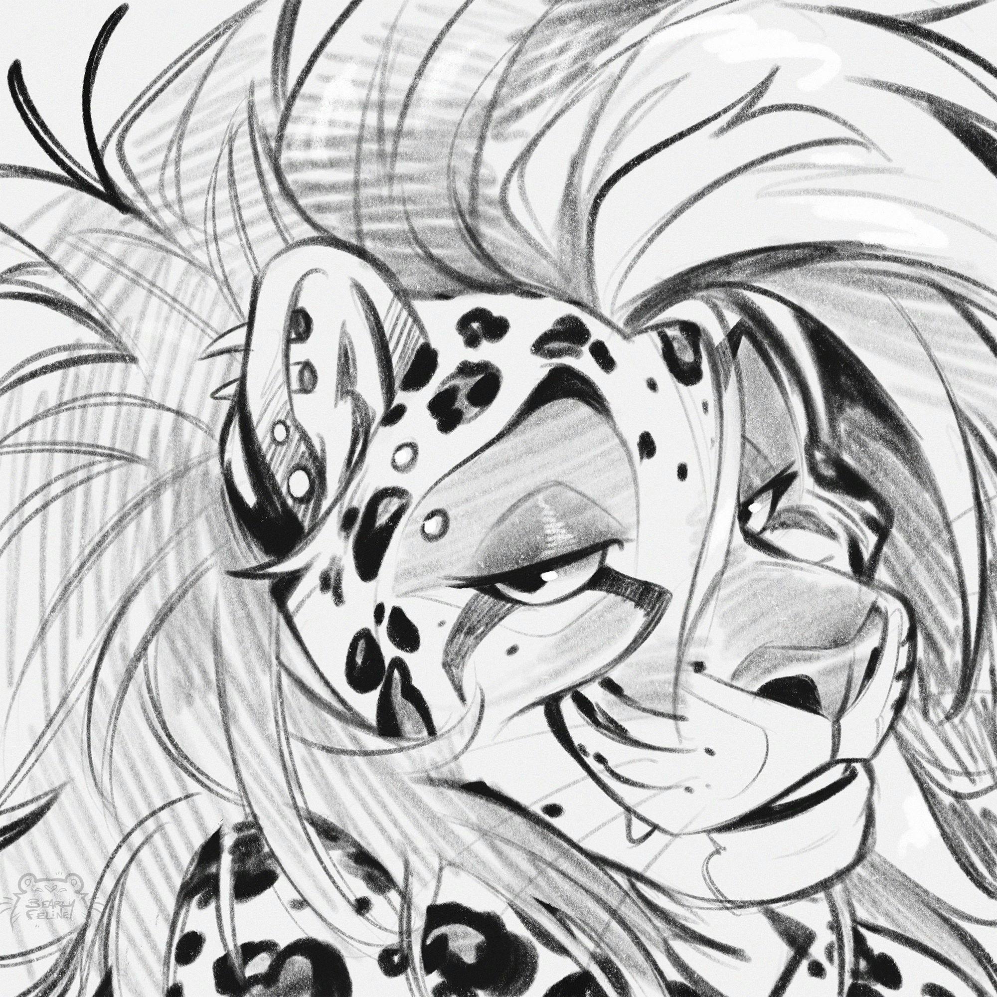 user avatar image for Possum