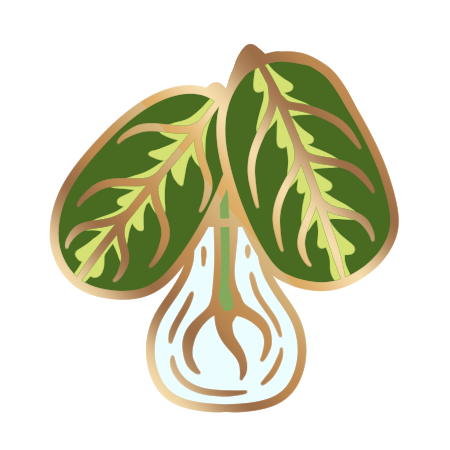 Prayer Plant