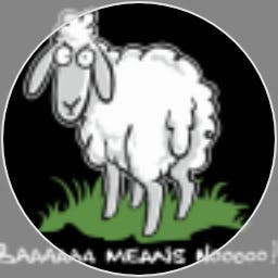 user avatar image for Meeexha