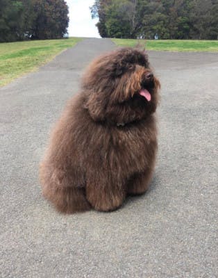 user avatar image for Michael Kent