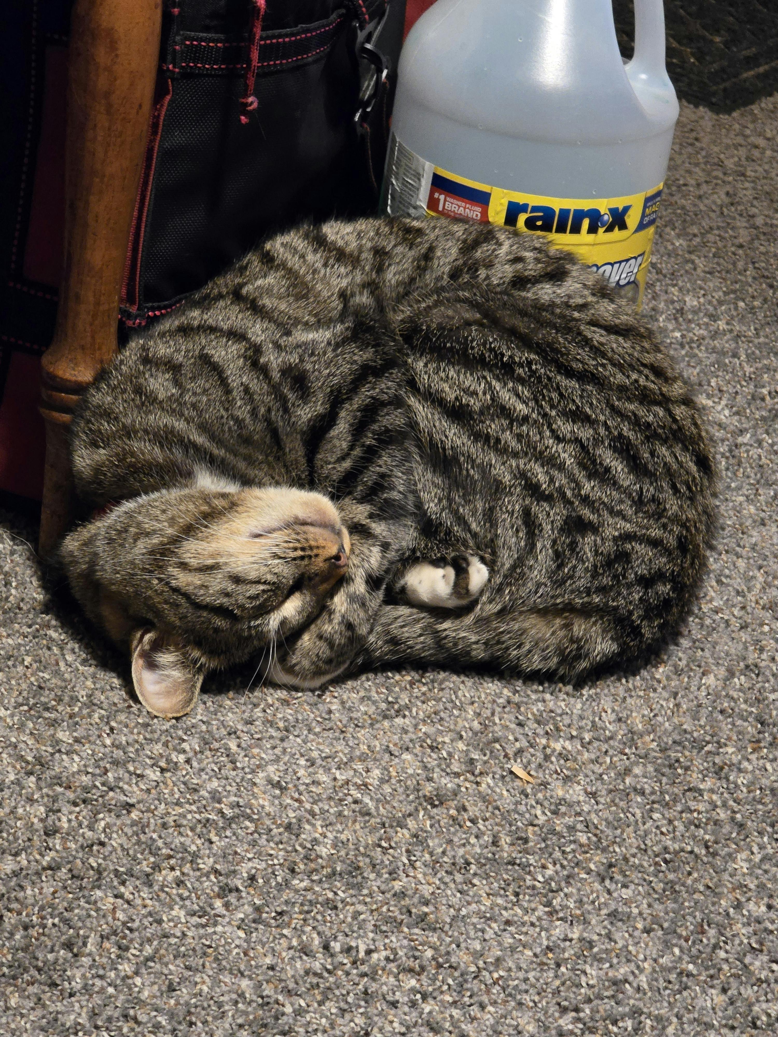 user avatar image for Kathryn Greenwood