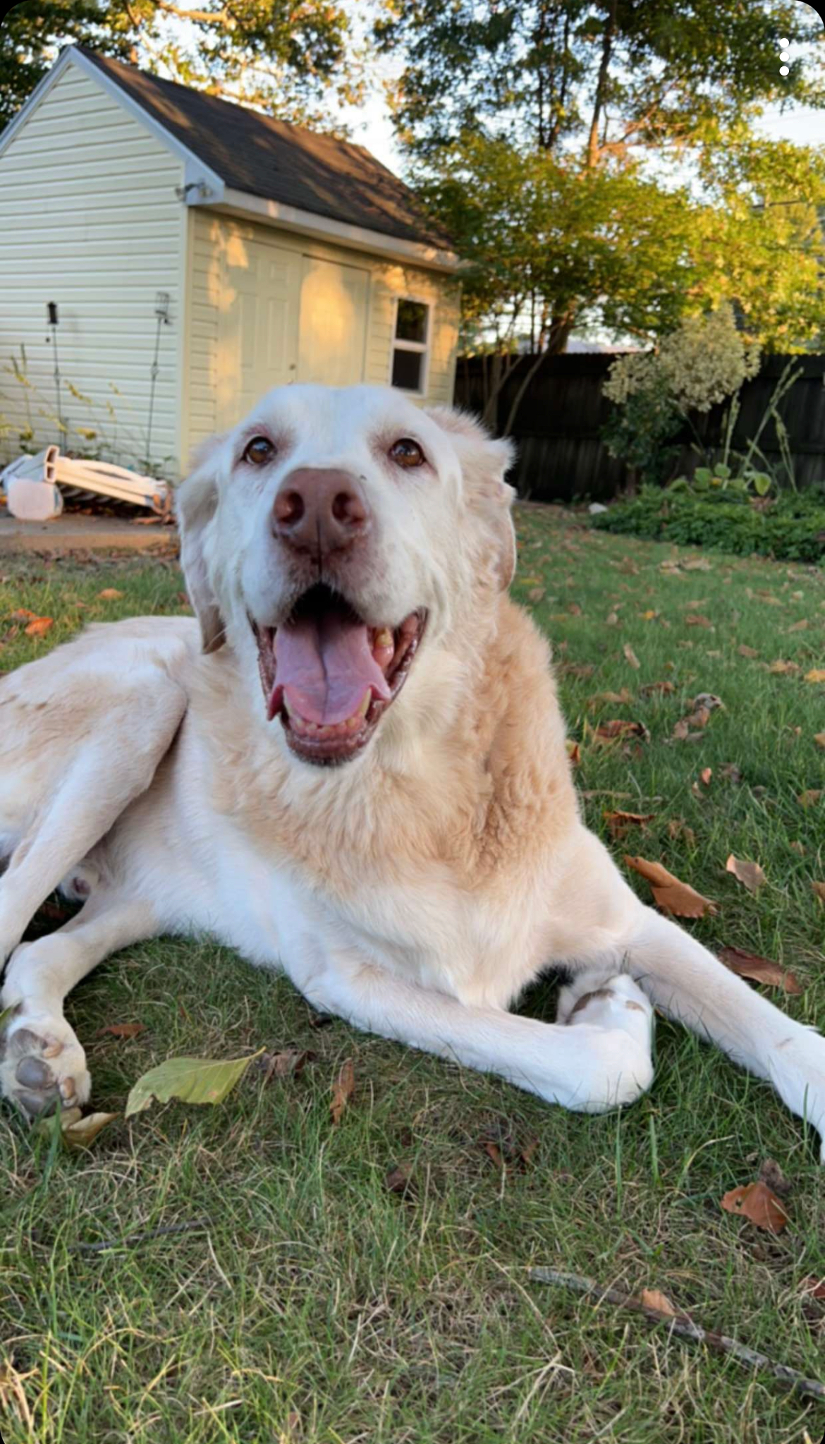 user avatar image for BradyT