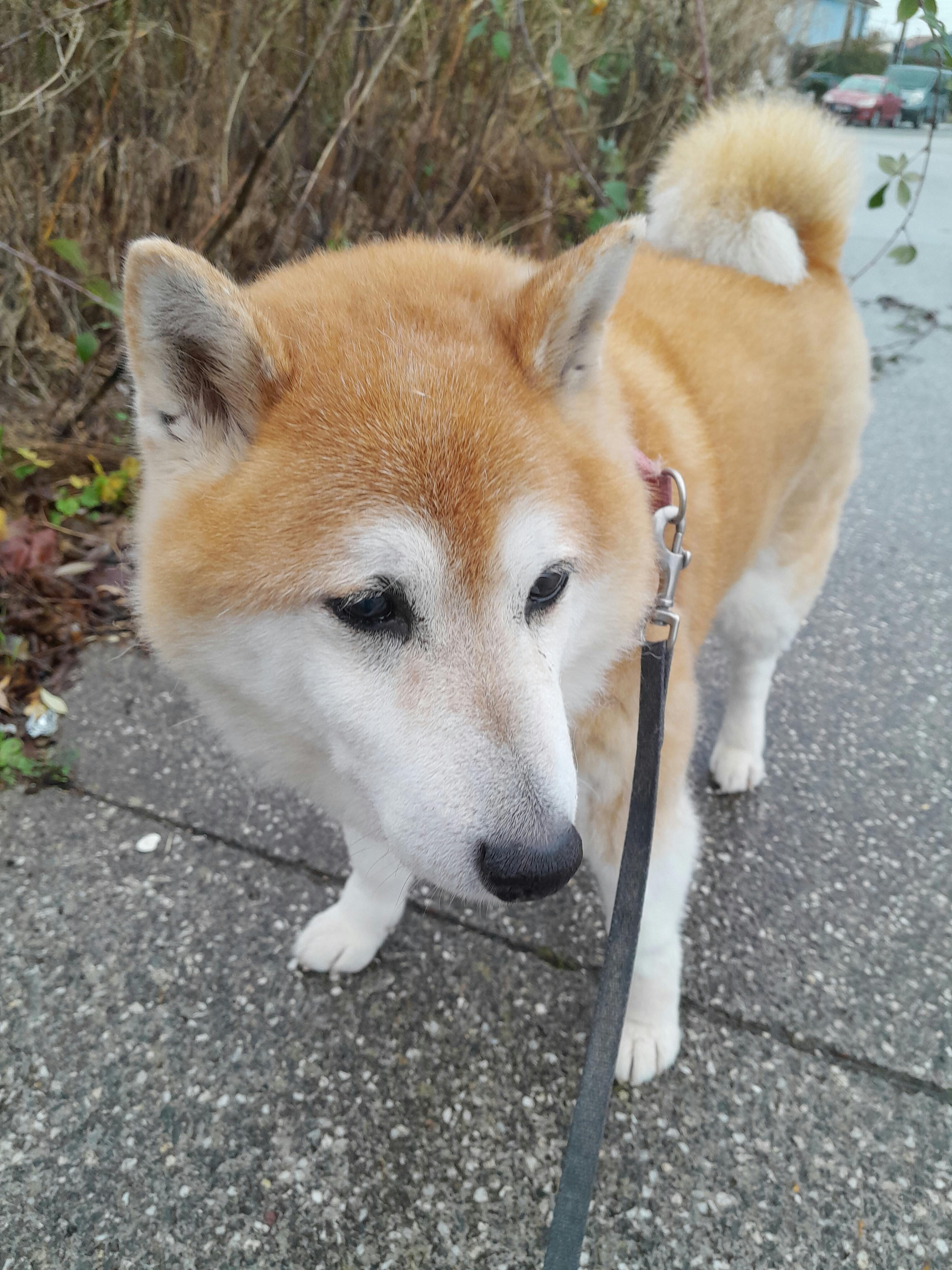 user avatar image for Stephanie 