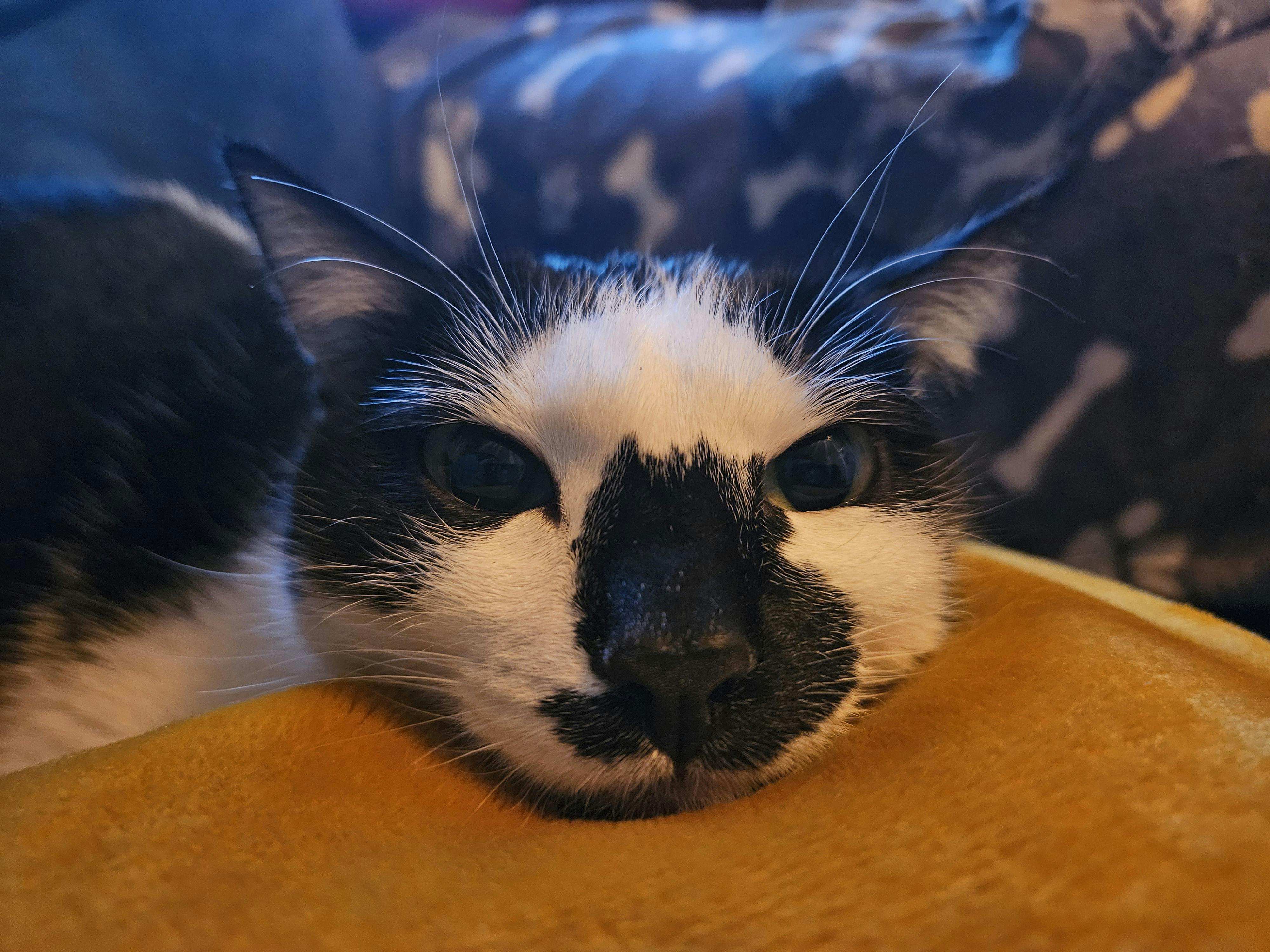 user avatar image for Ju