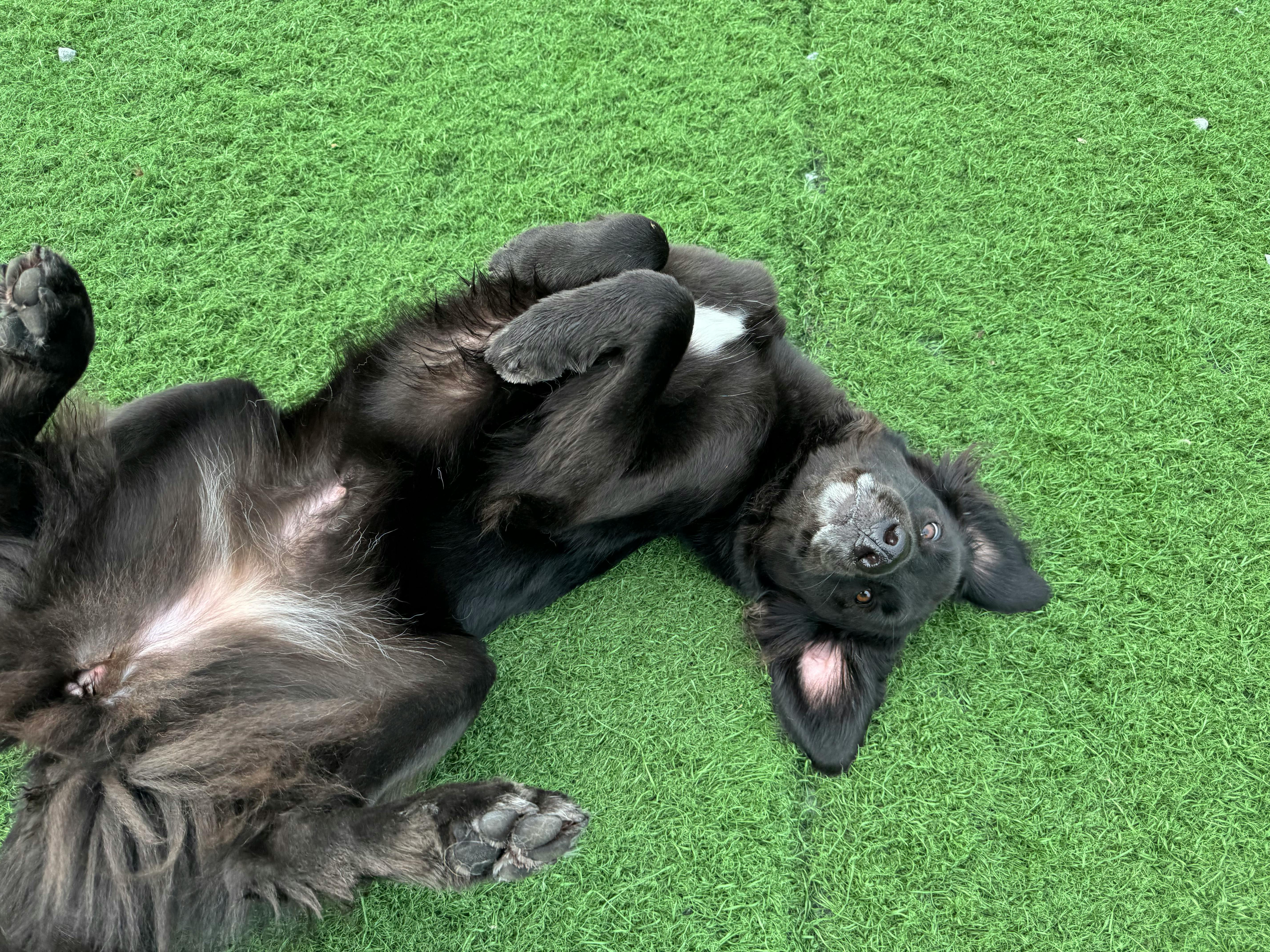 user avatar image for Alyssa