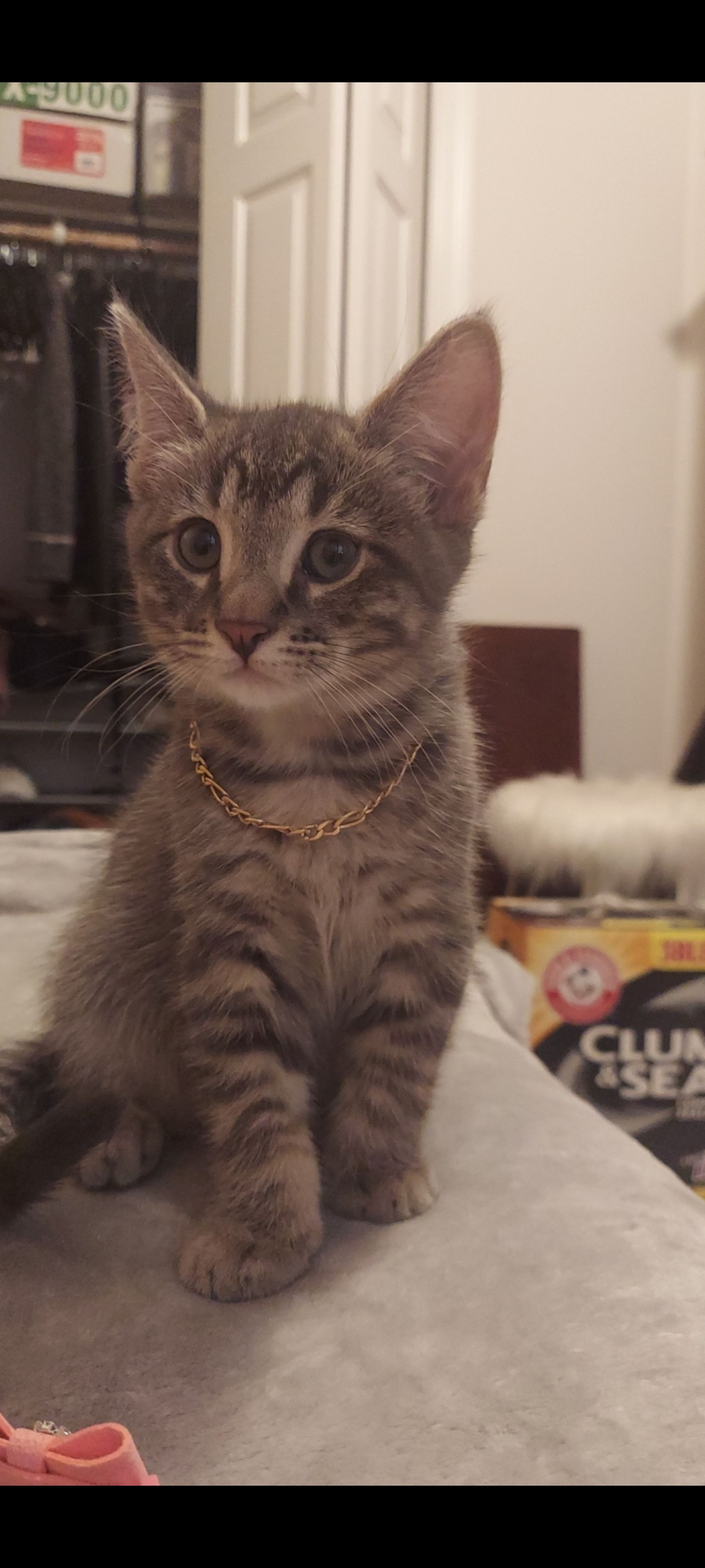 user avatar image for Matt Burlingame