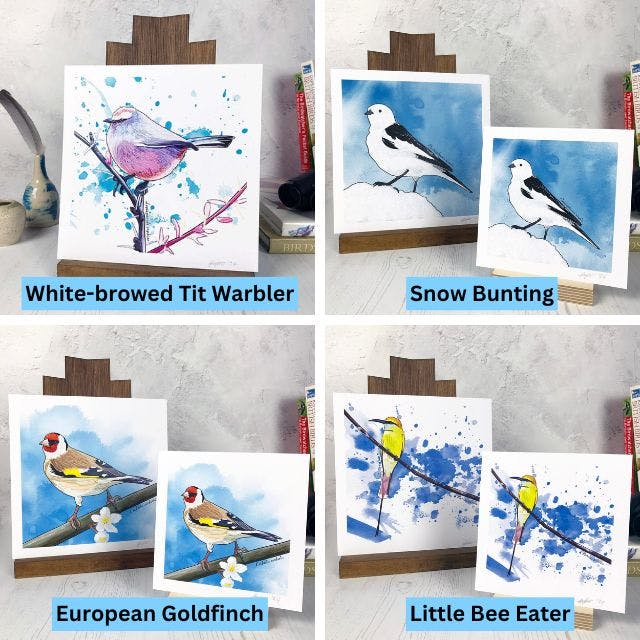 a grid of four coasters created from illustrations by Loadofolbobbins. Clockwise from top left they show a white-browed tit warbler, a snow bunting, a little bee eater and a European goldfinch.