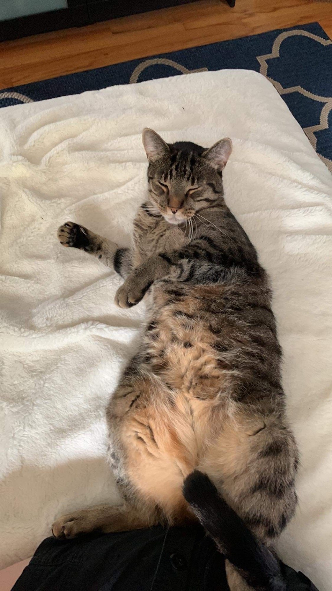 user avatar image for Alexandra Brown