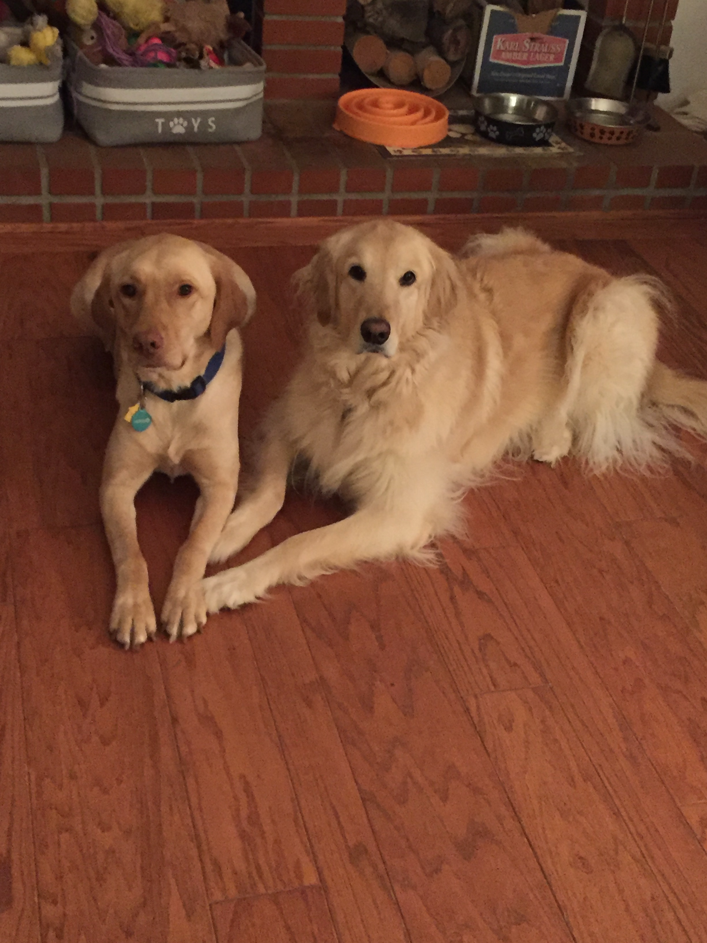 user avatar image for Janet