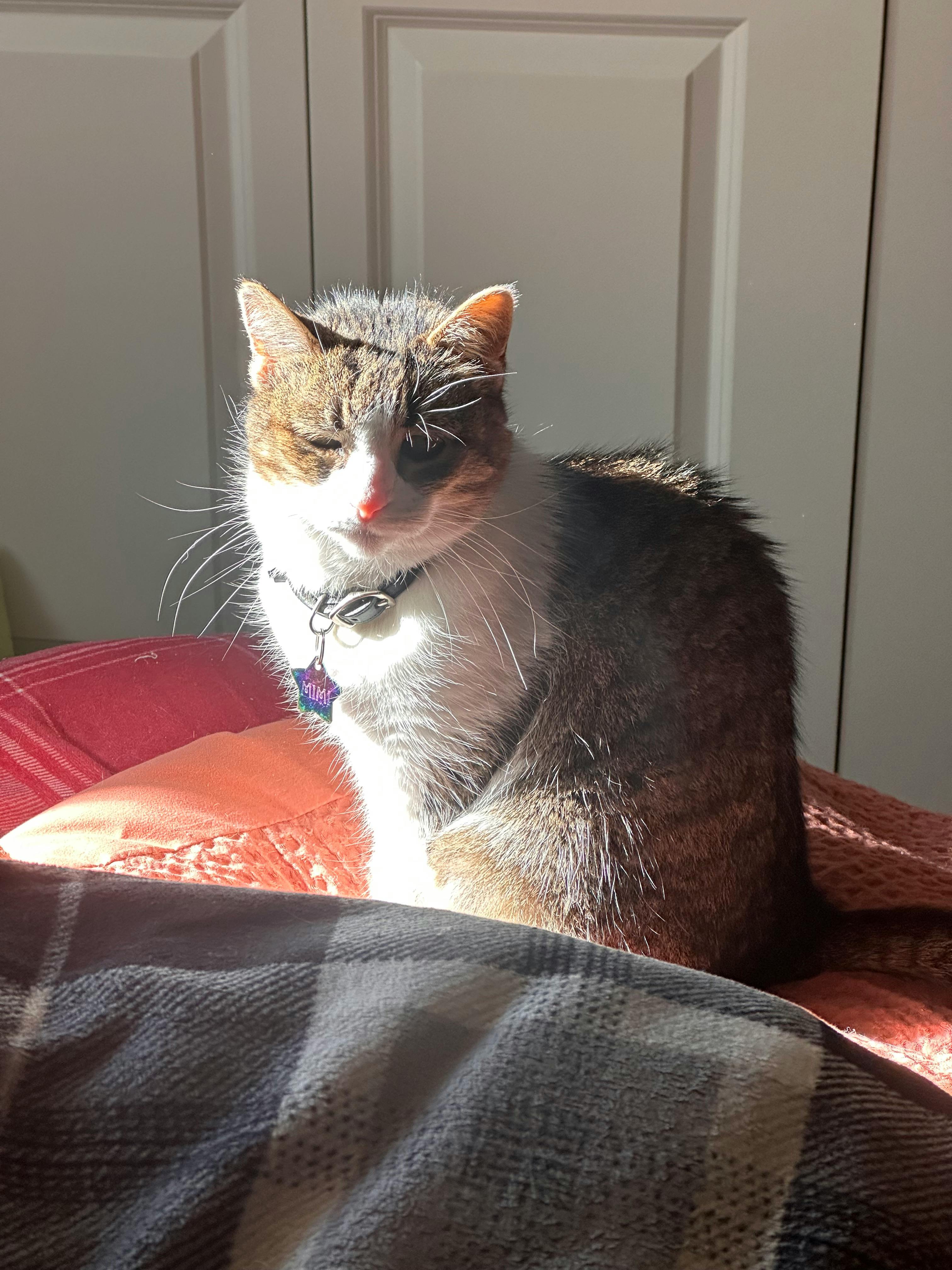 user avatar image for Allie