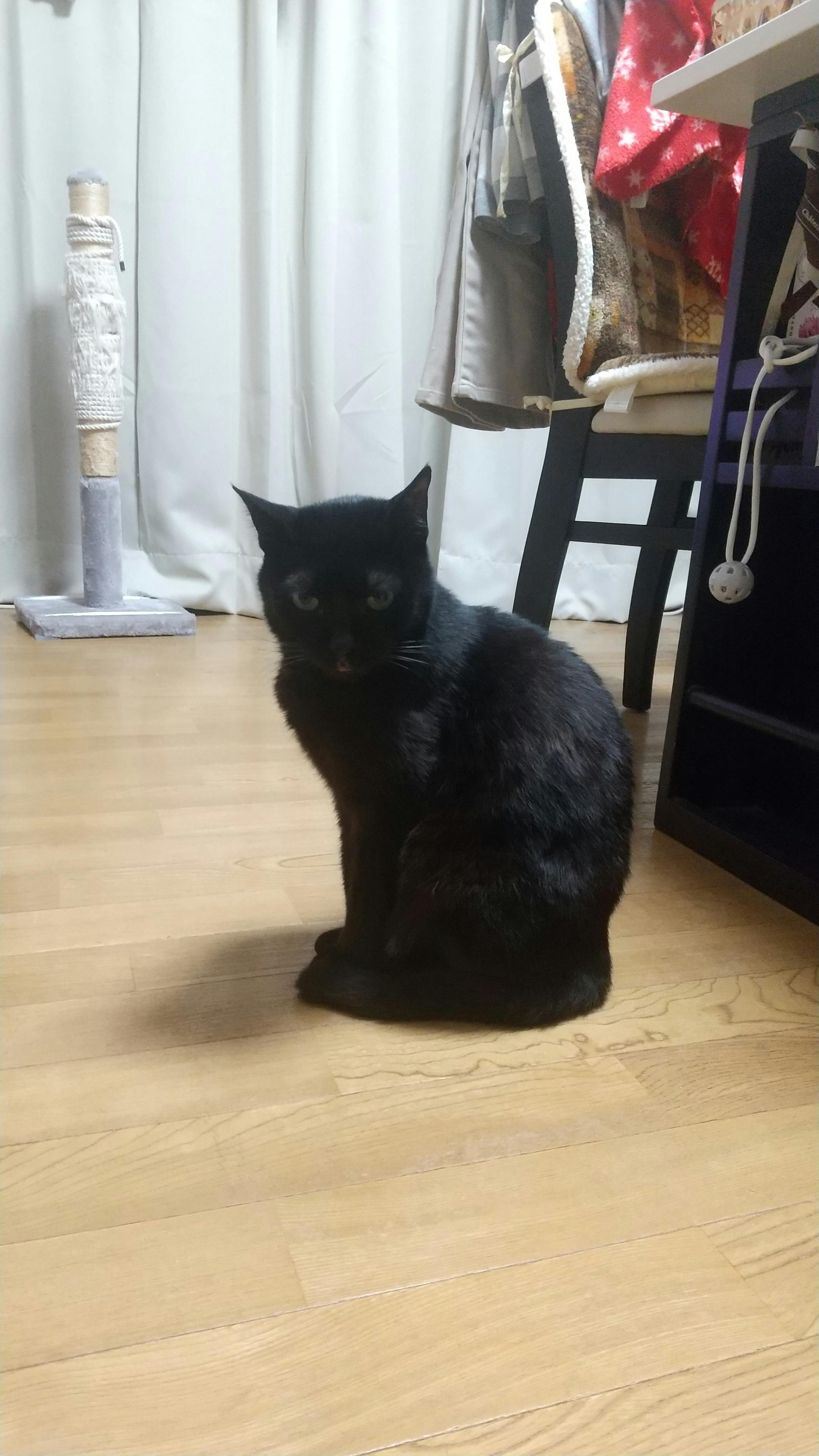 user avatar image for ポン