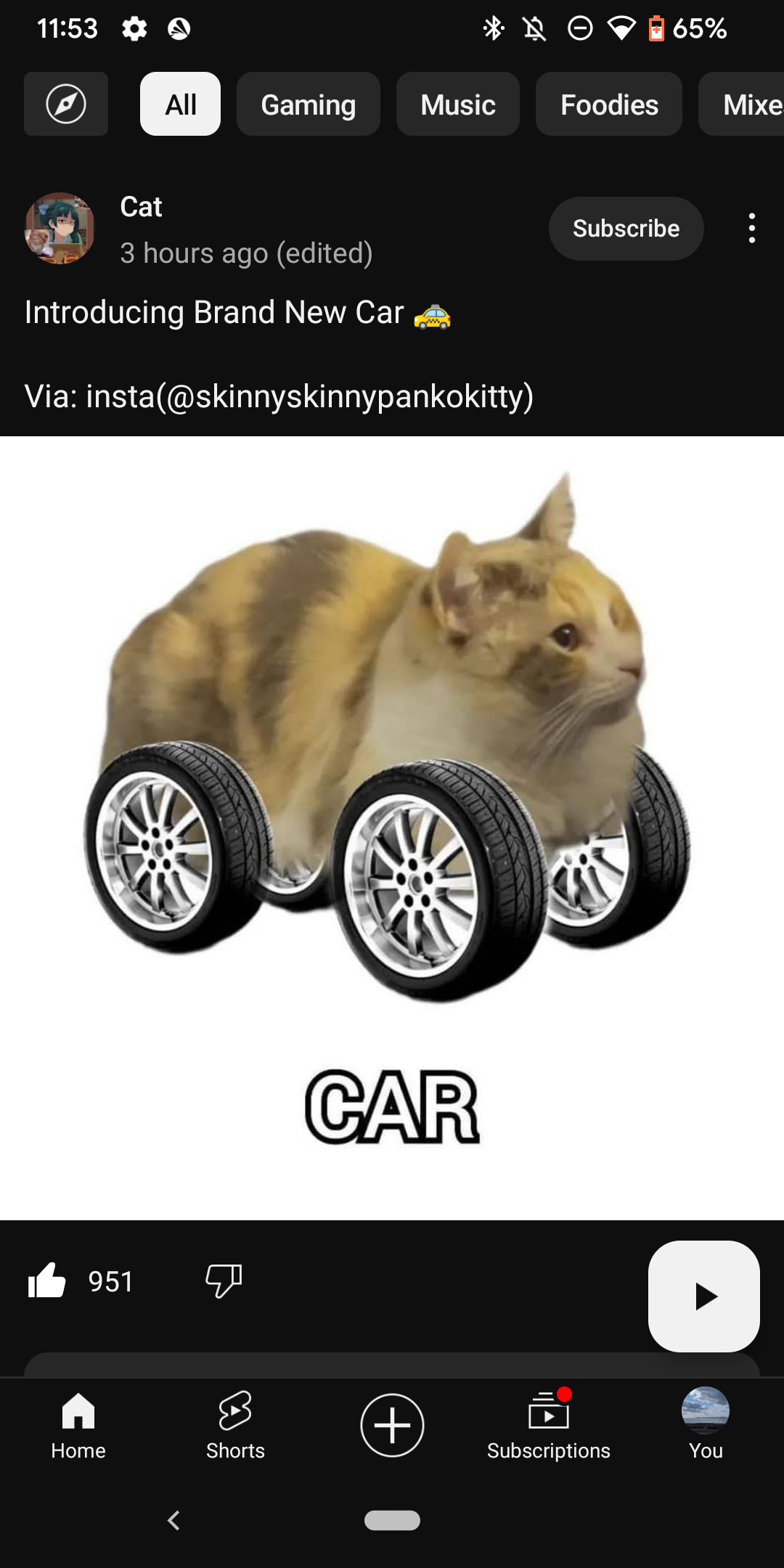 user avatar image for Mai