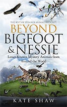 Beyond Bigfoot & Nessie ebook