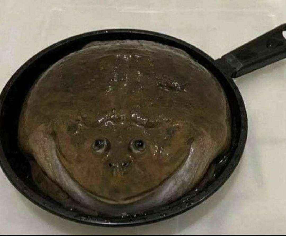 user avatar image for Minusdd