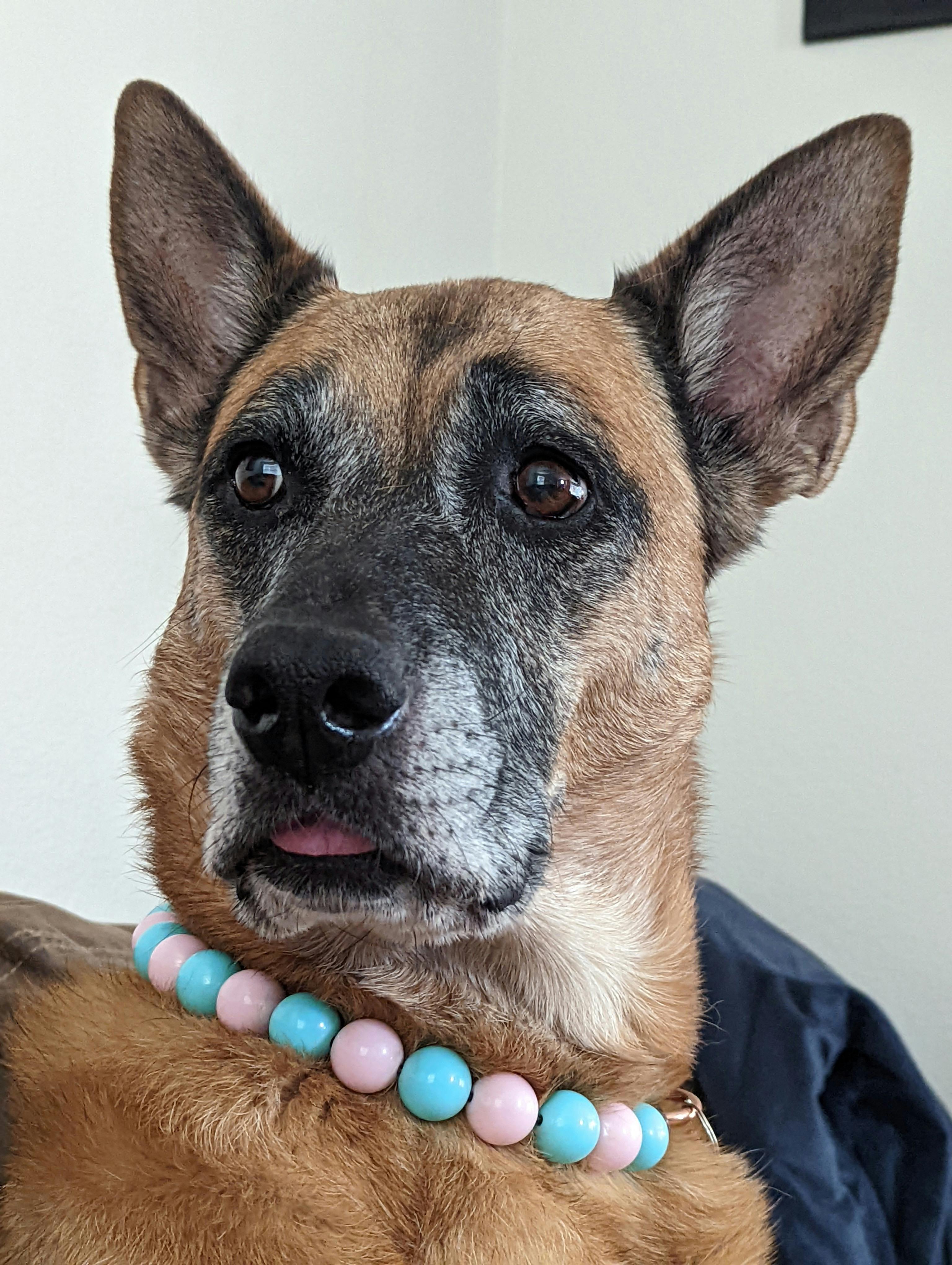 user avatar image for Aubrey Rich