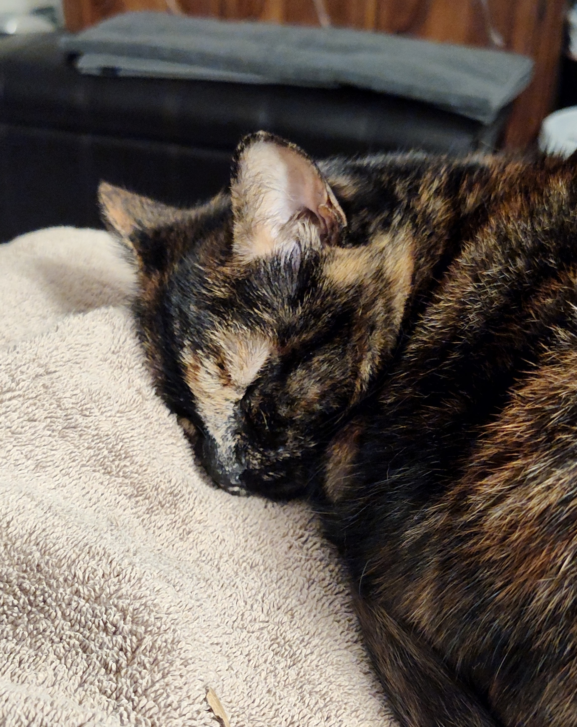 user avatar image for Sasha and Greg Wesson 