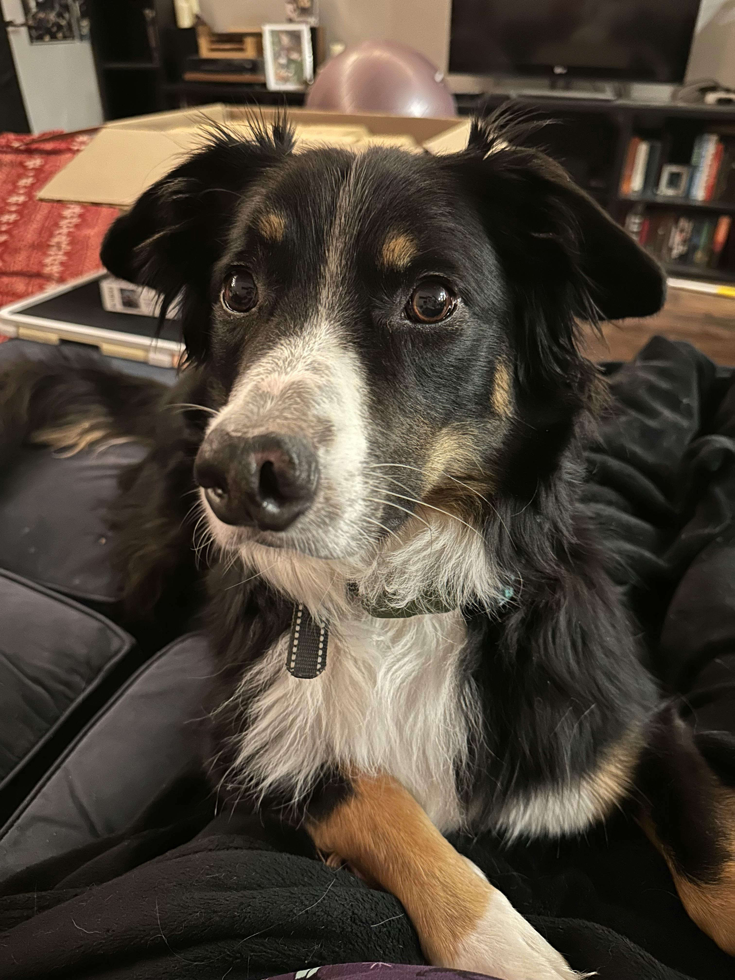 user avatar image for Anonymous Finch #1703247