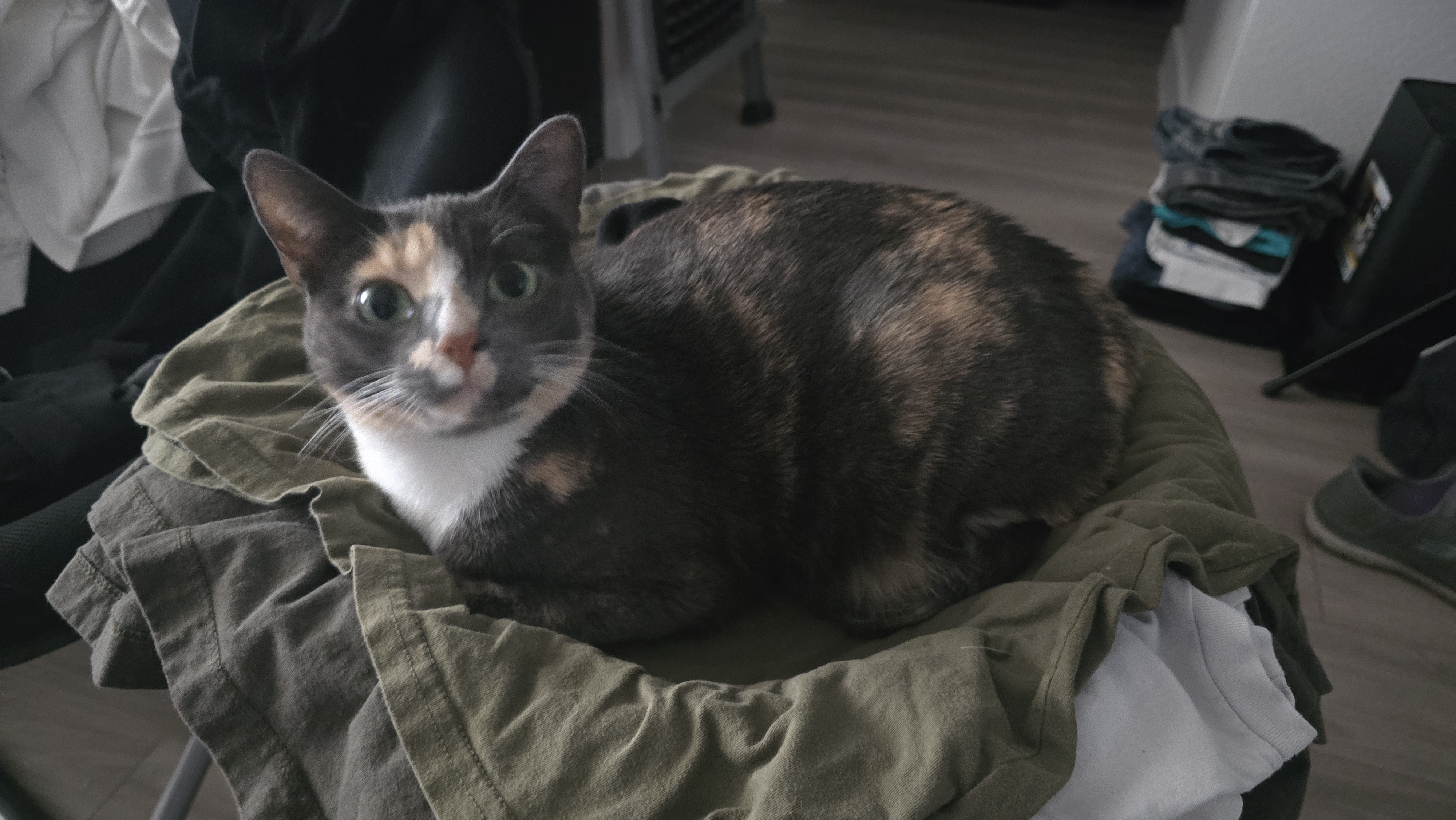 user avatar image for Kylie