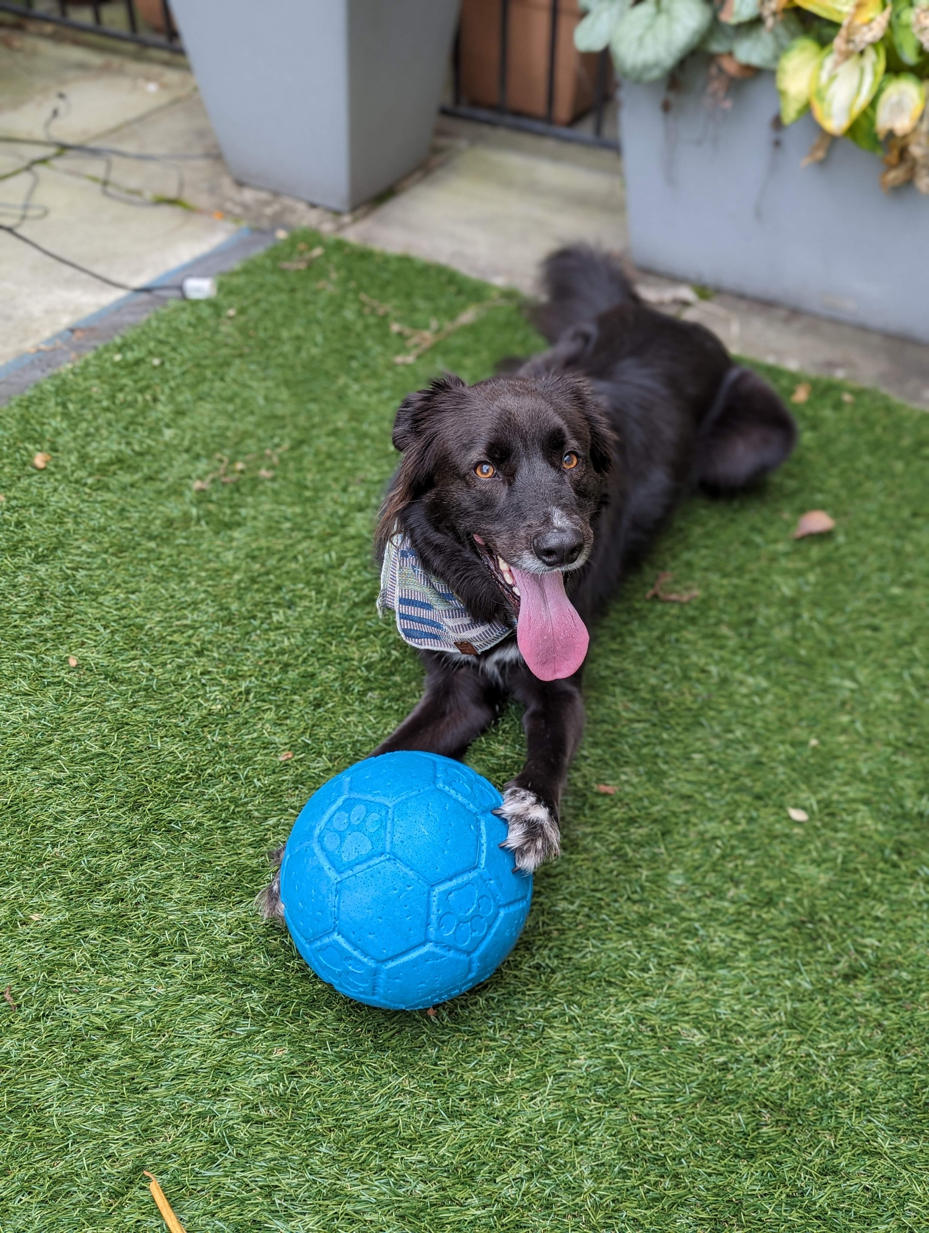 user avatar image for Mike D.