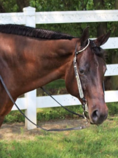 user avatar image for Sharks