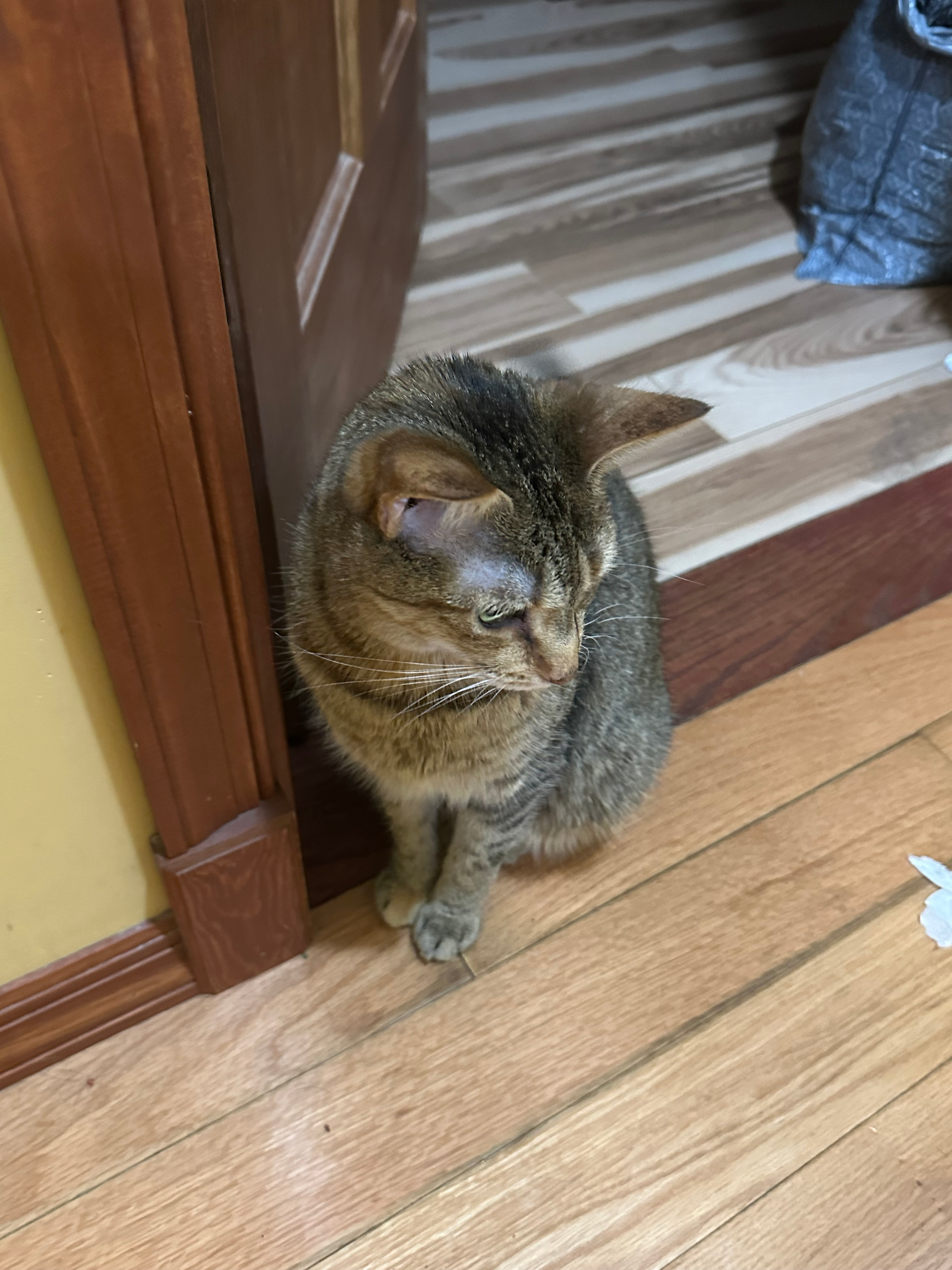 user avatar image for Bella