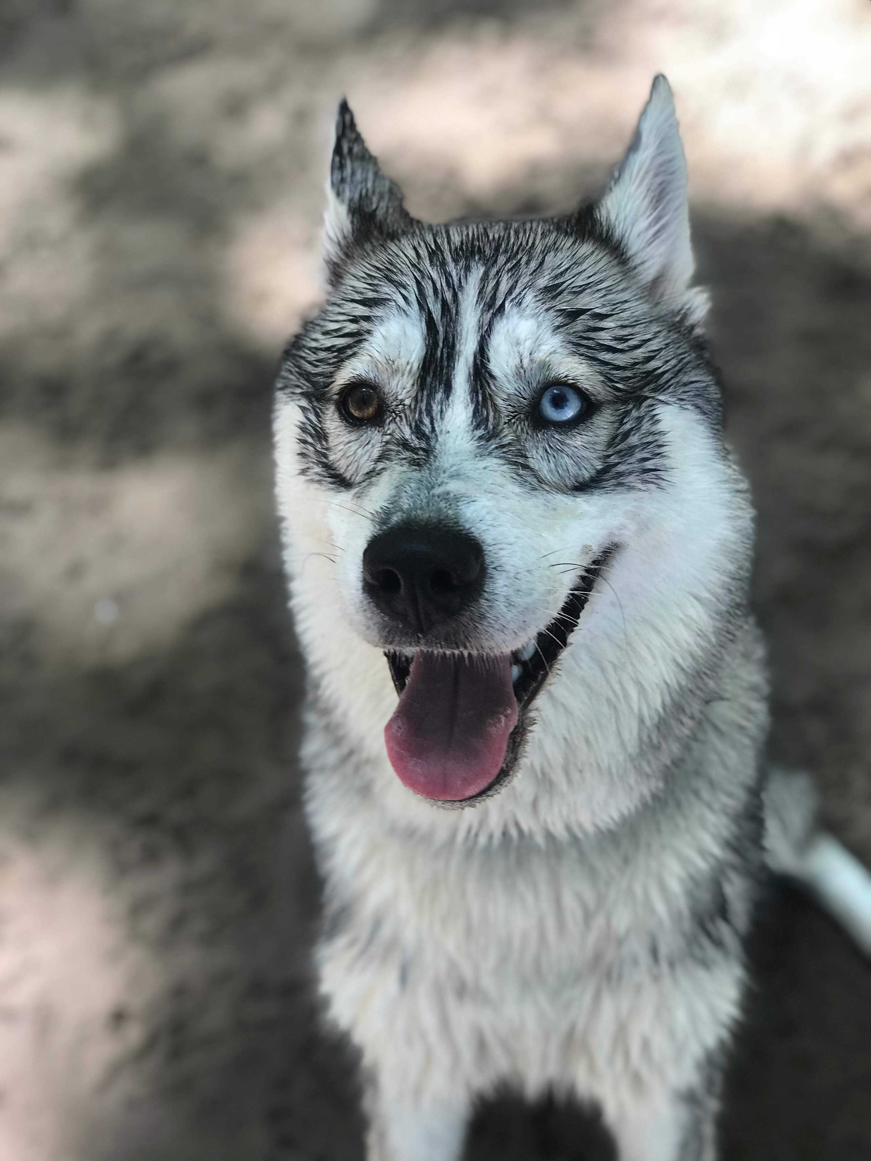 user avatar image for Natalie