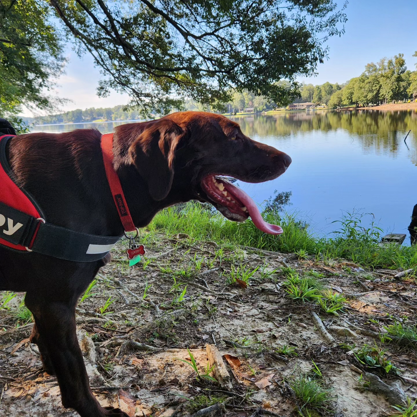 user avatar image for RRGuardsman