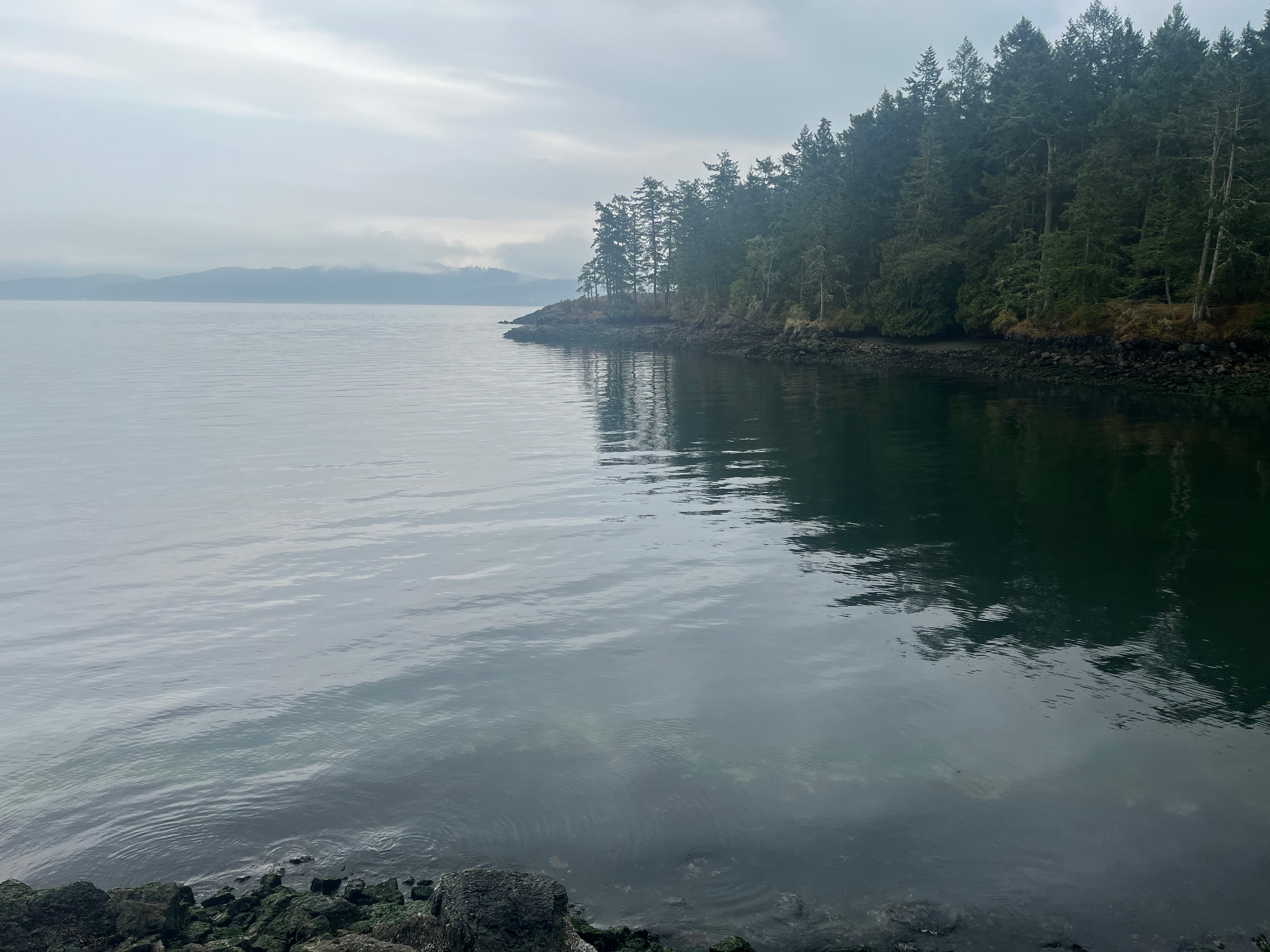 user avatar image for Ryan Park