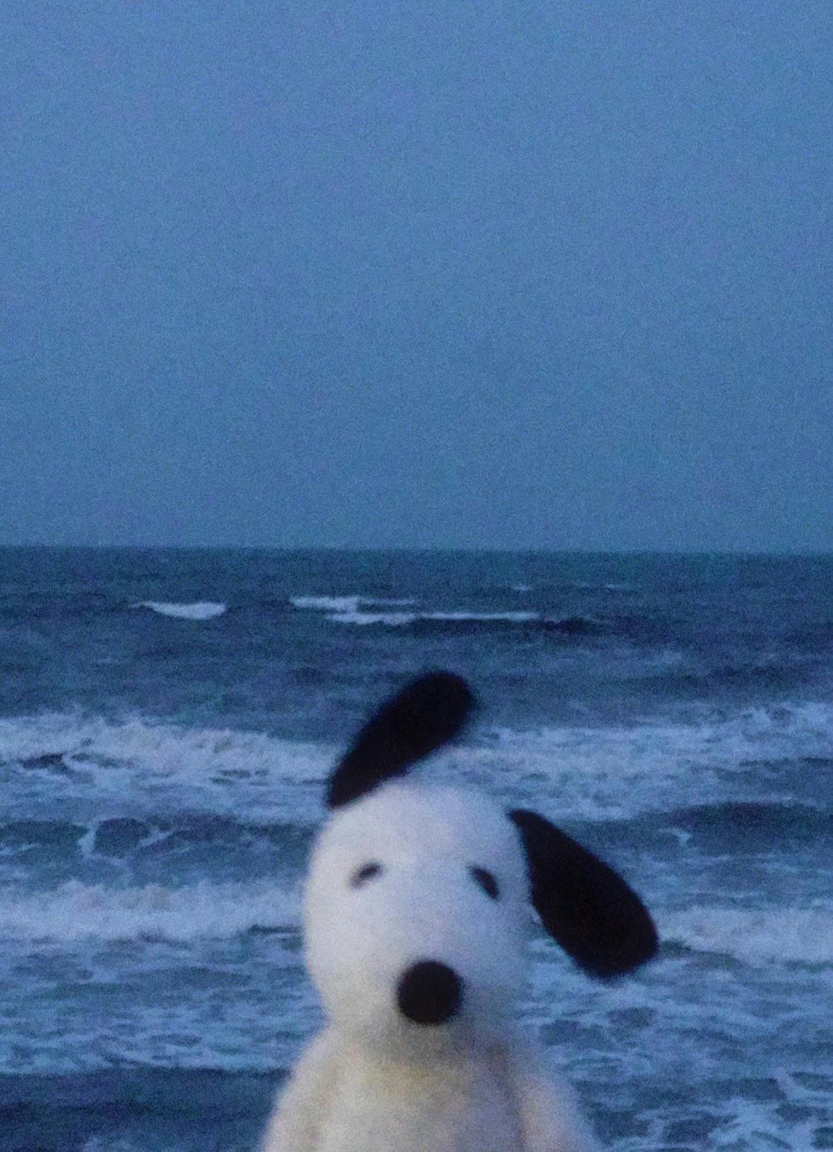 user avatar image for Spencer Bennett