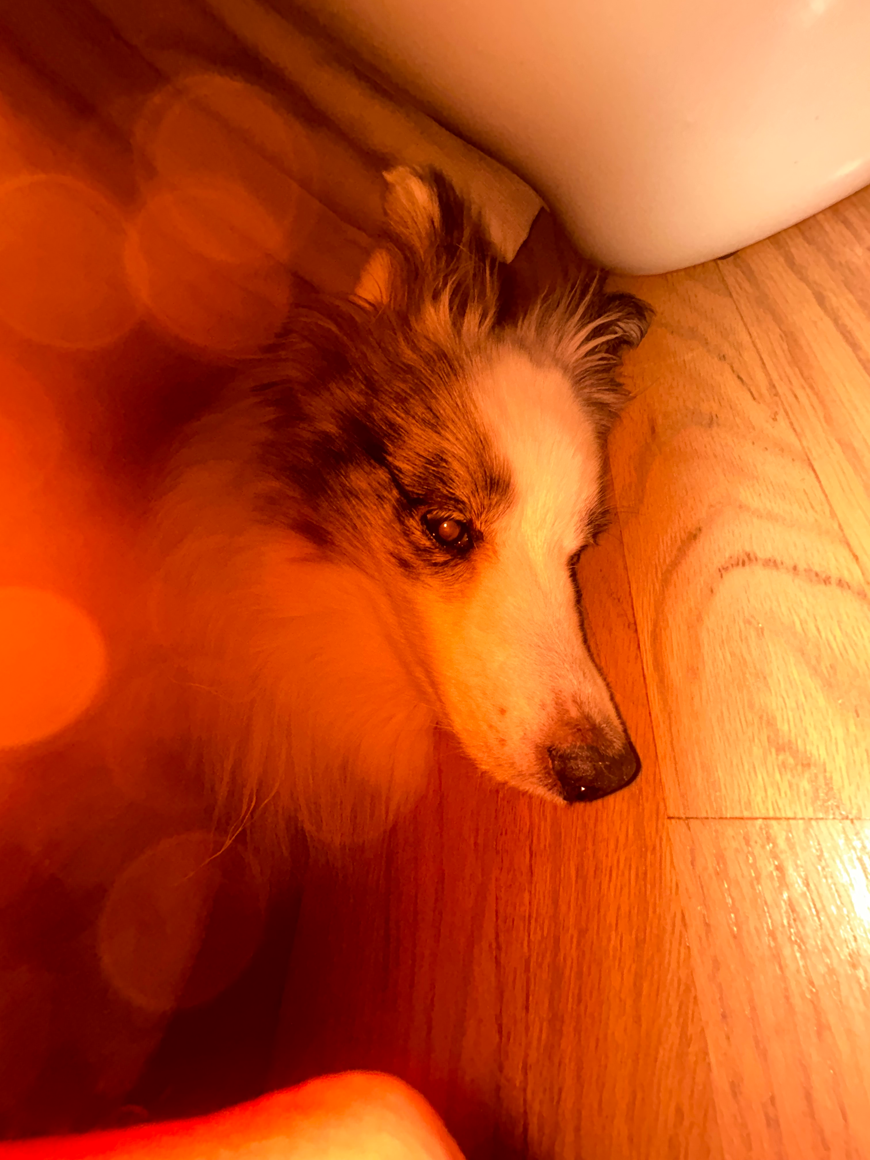 user avatar image for Bitkryle