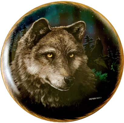 user avatar image for Proeliator