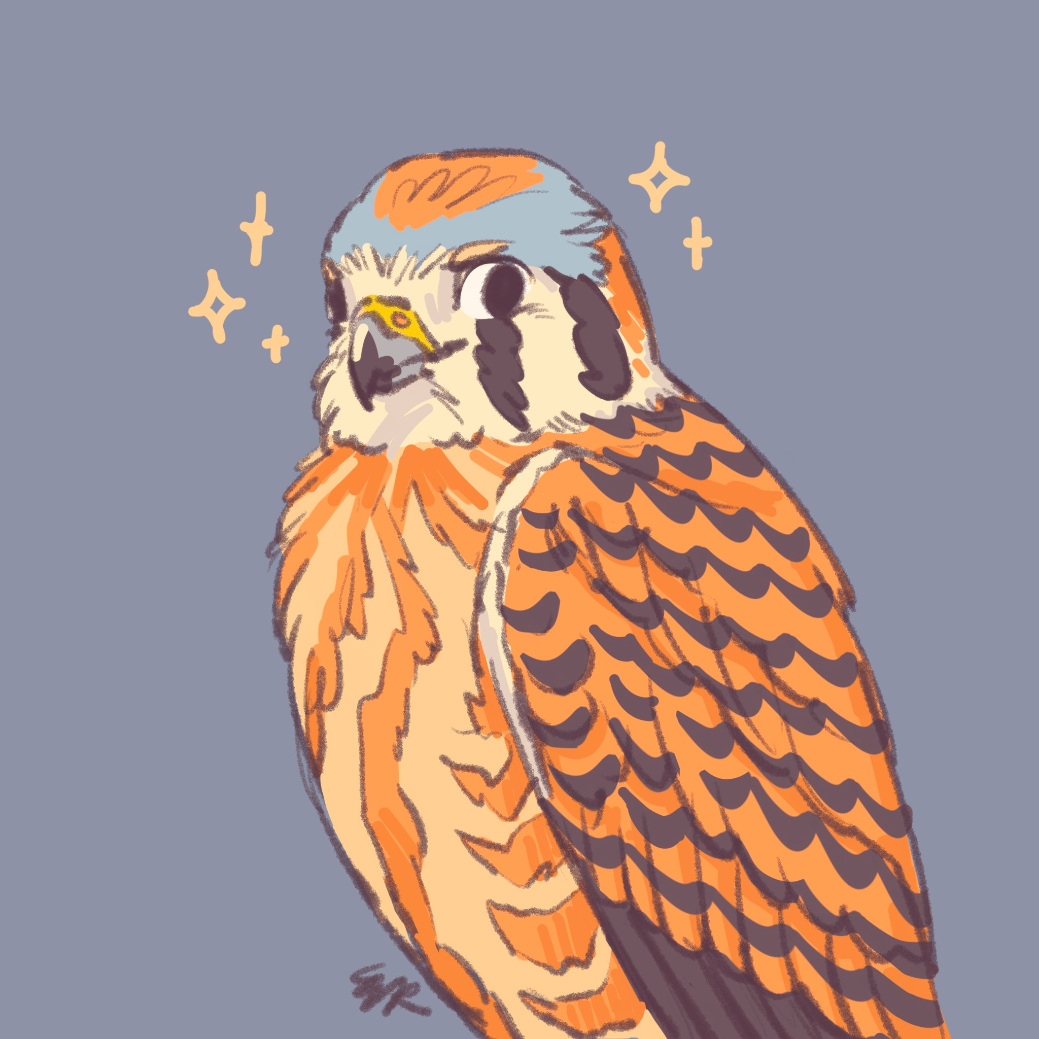 user avatar image for falcofous