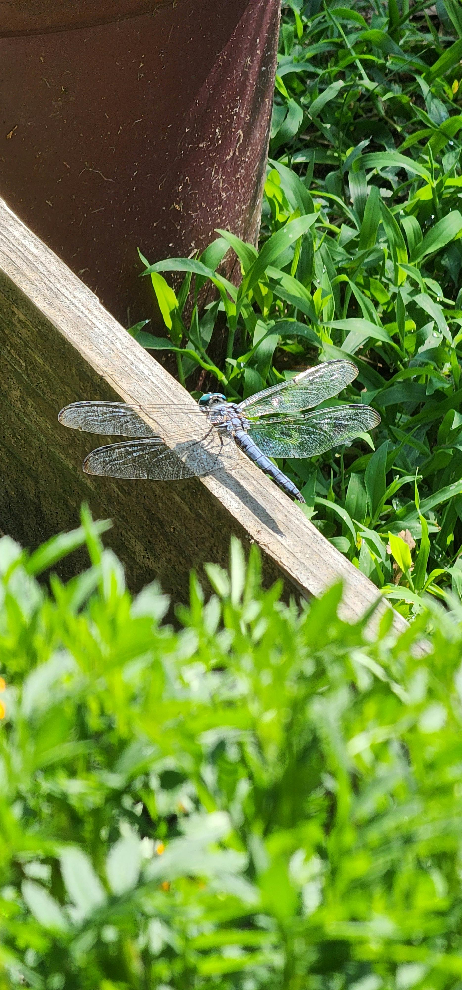 user avatar image for fungalcenobite