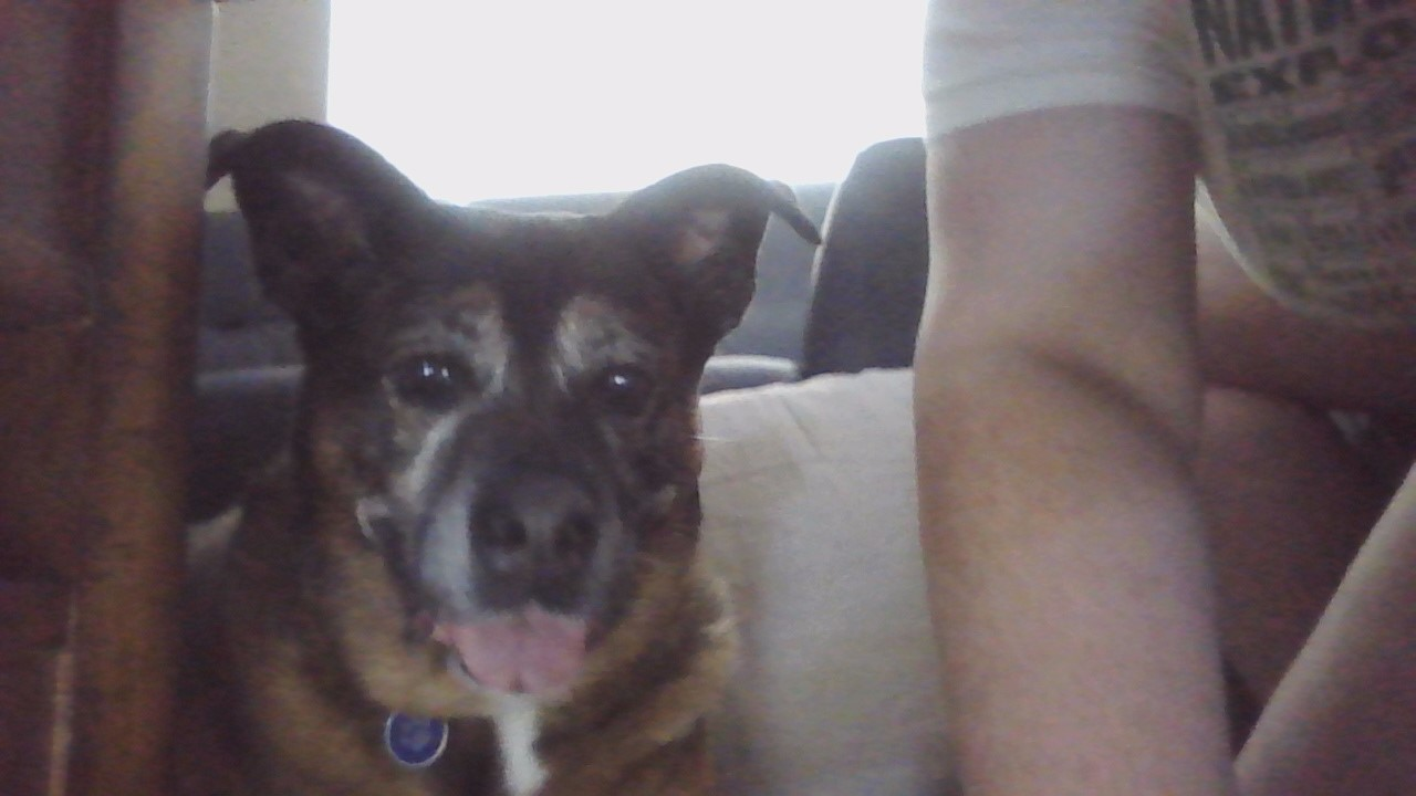 user avatar image for katy