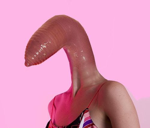 user avatar image for the_heresy