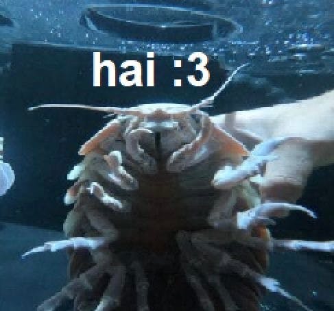 user avatar image for Lily Raff