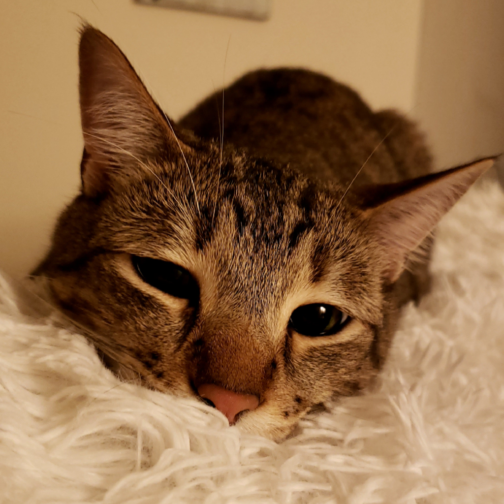 user avatar image for Teresa