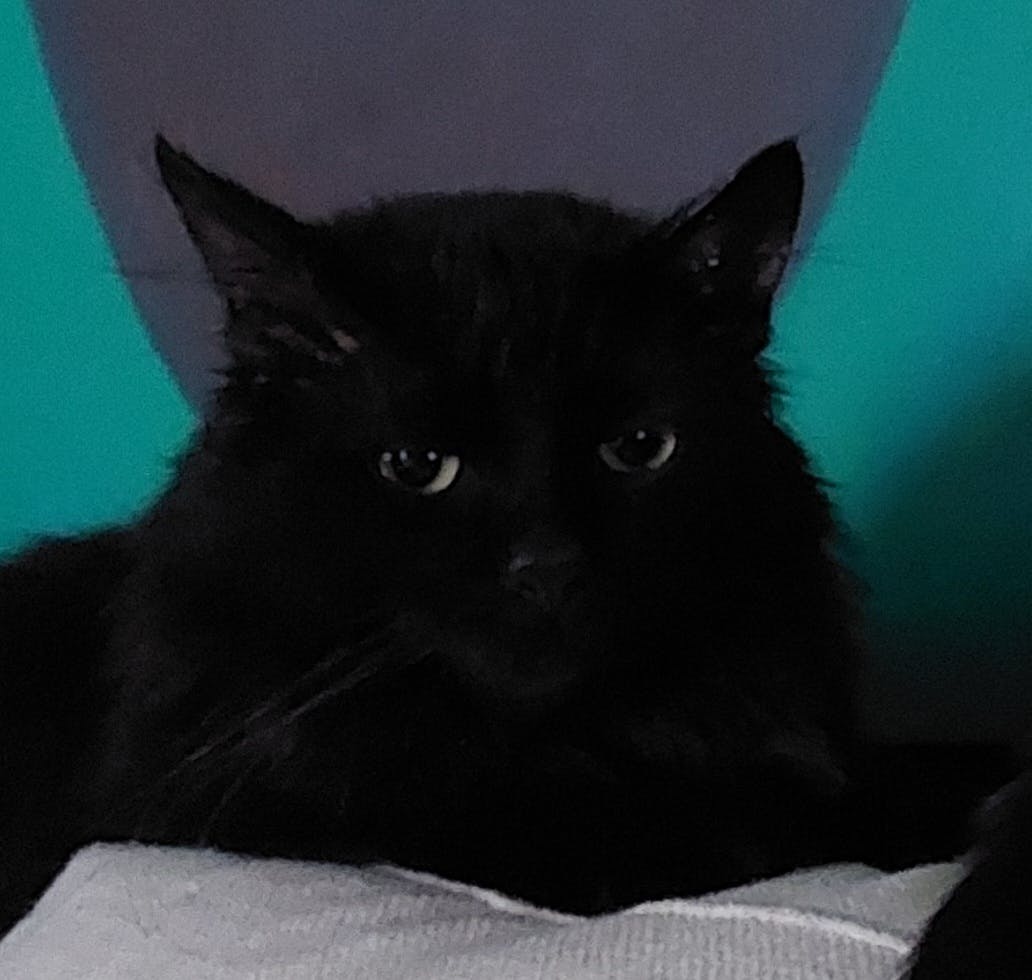 user avatar image for Shawn Wood