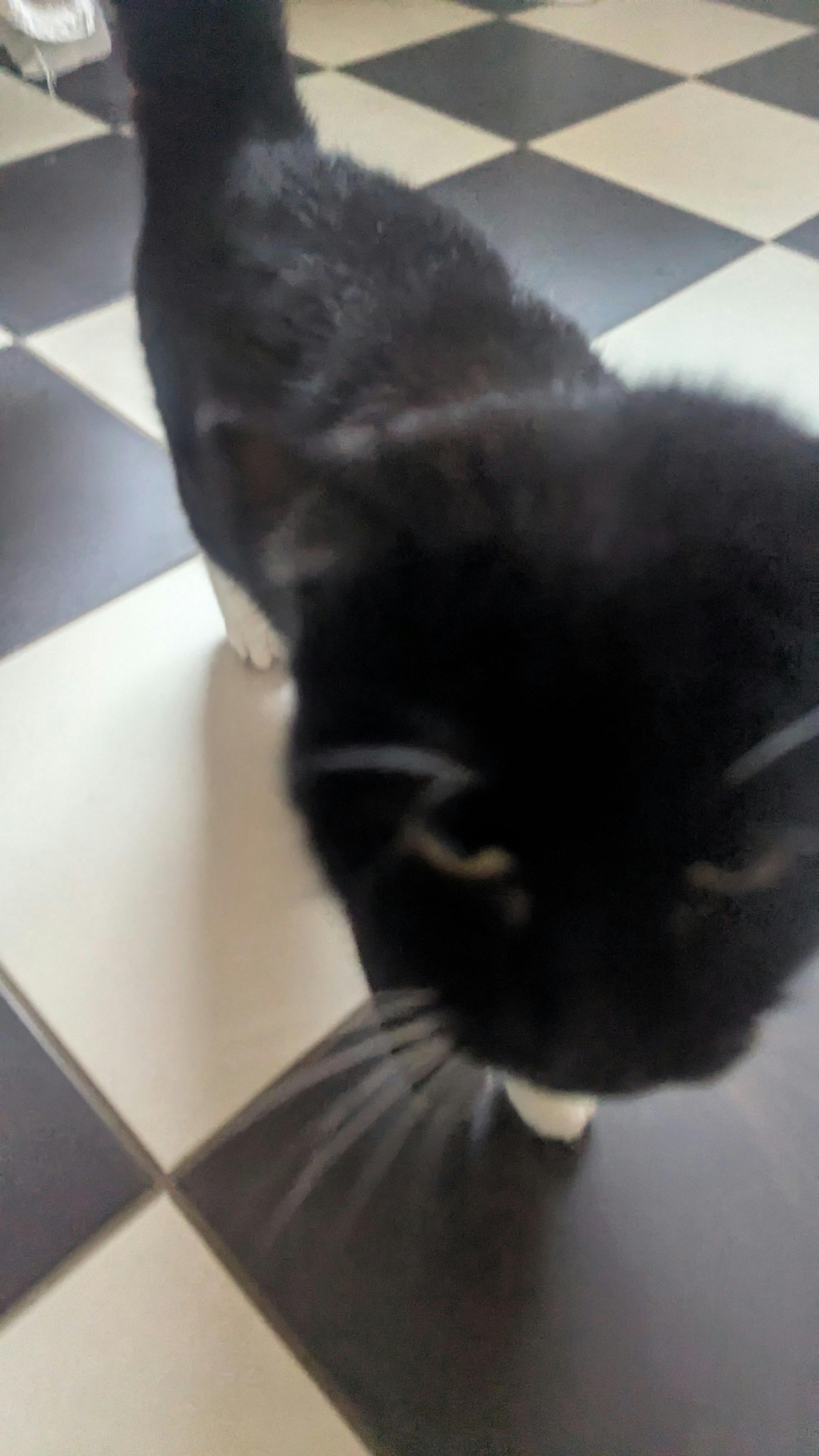 user avatar image for Abnermal