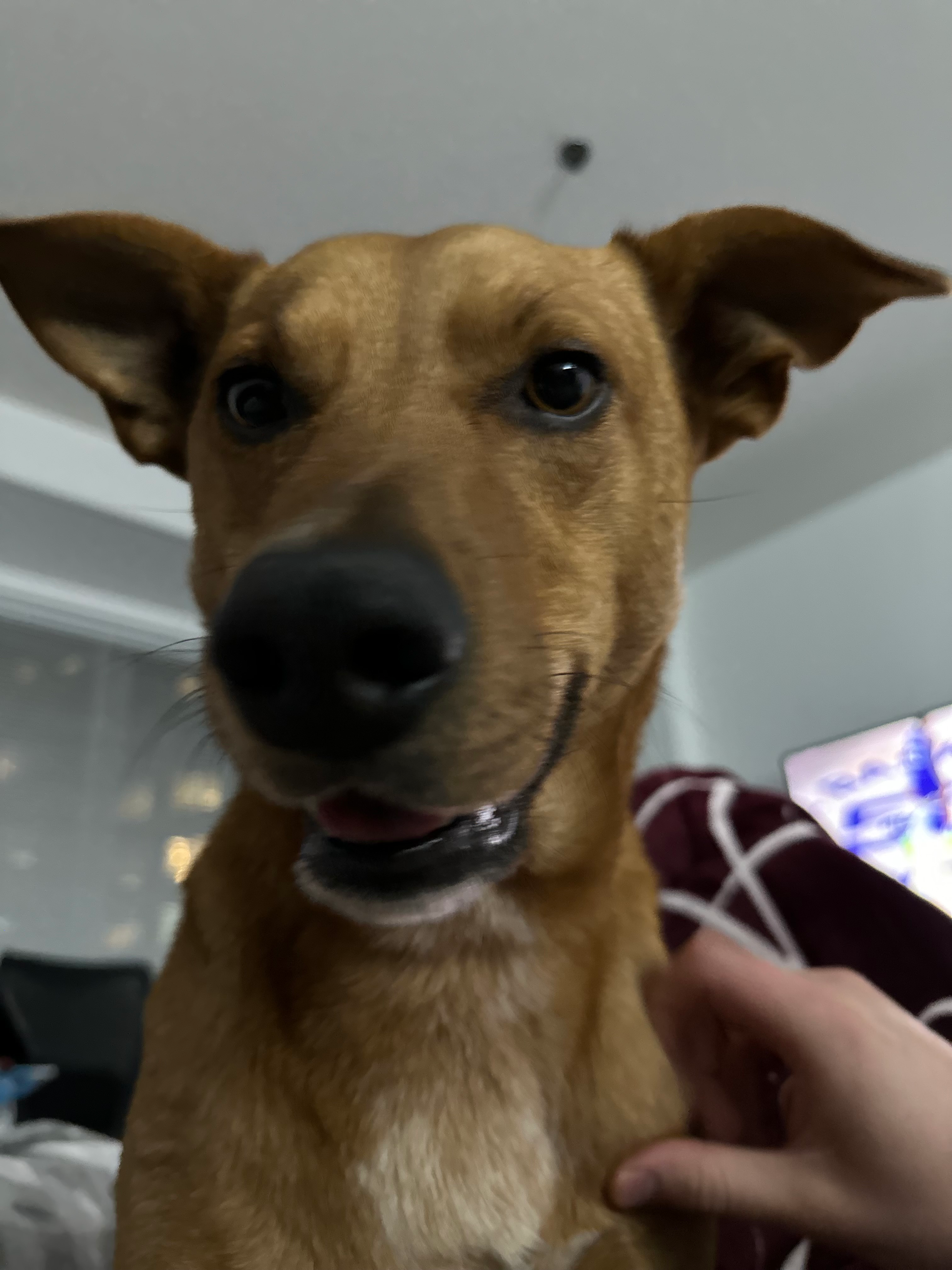 user avatar image for Isaak