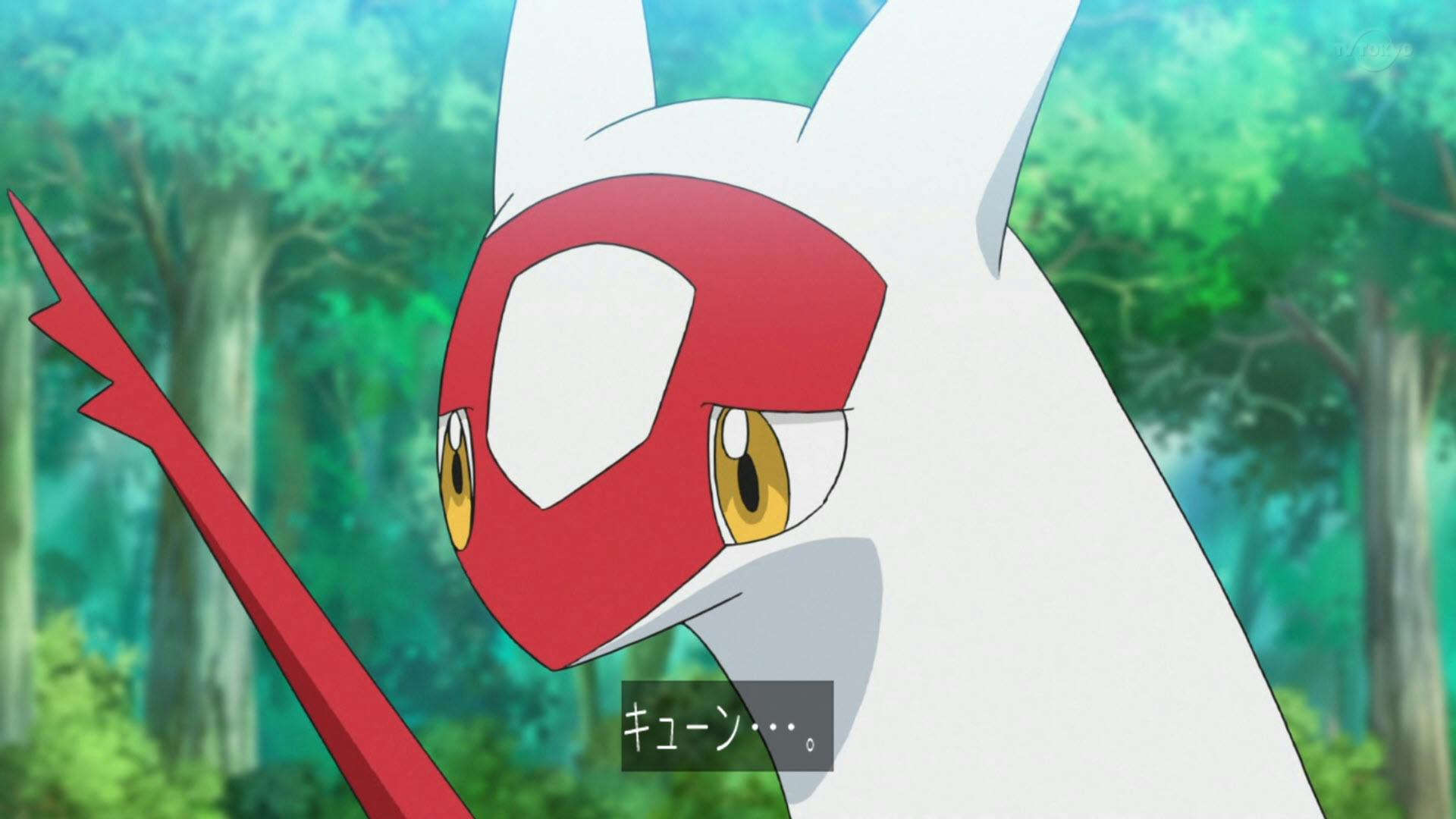 user avatar image for Strongy 