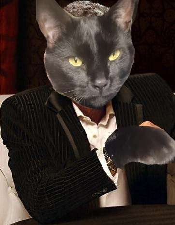 user avatar image for iopele