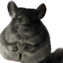 user avatar image for June Parker