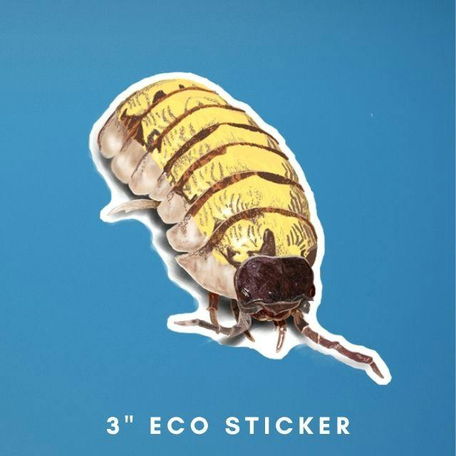 a 3 inch eco sticker made from an illustration of a common pill woodlouse