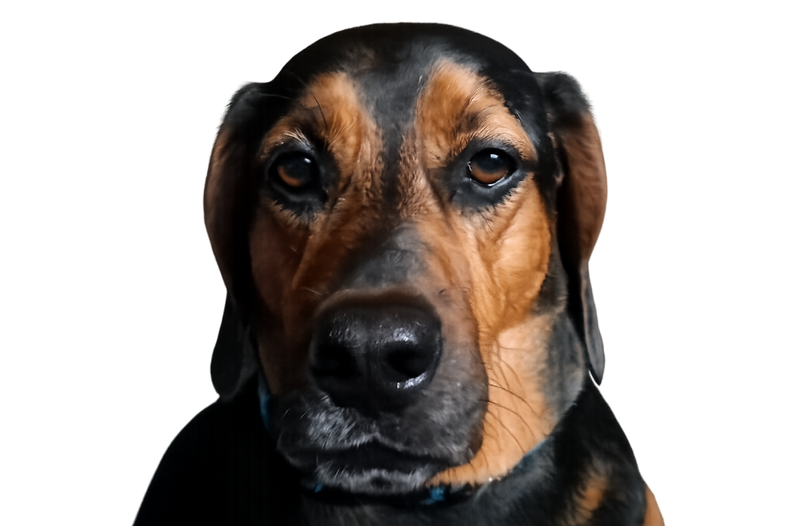 user avatar image for Sparky68